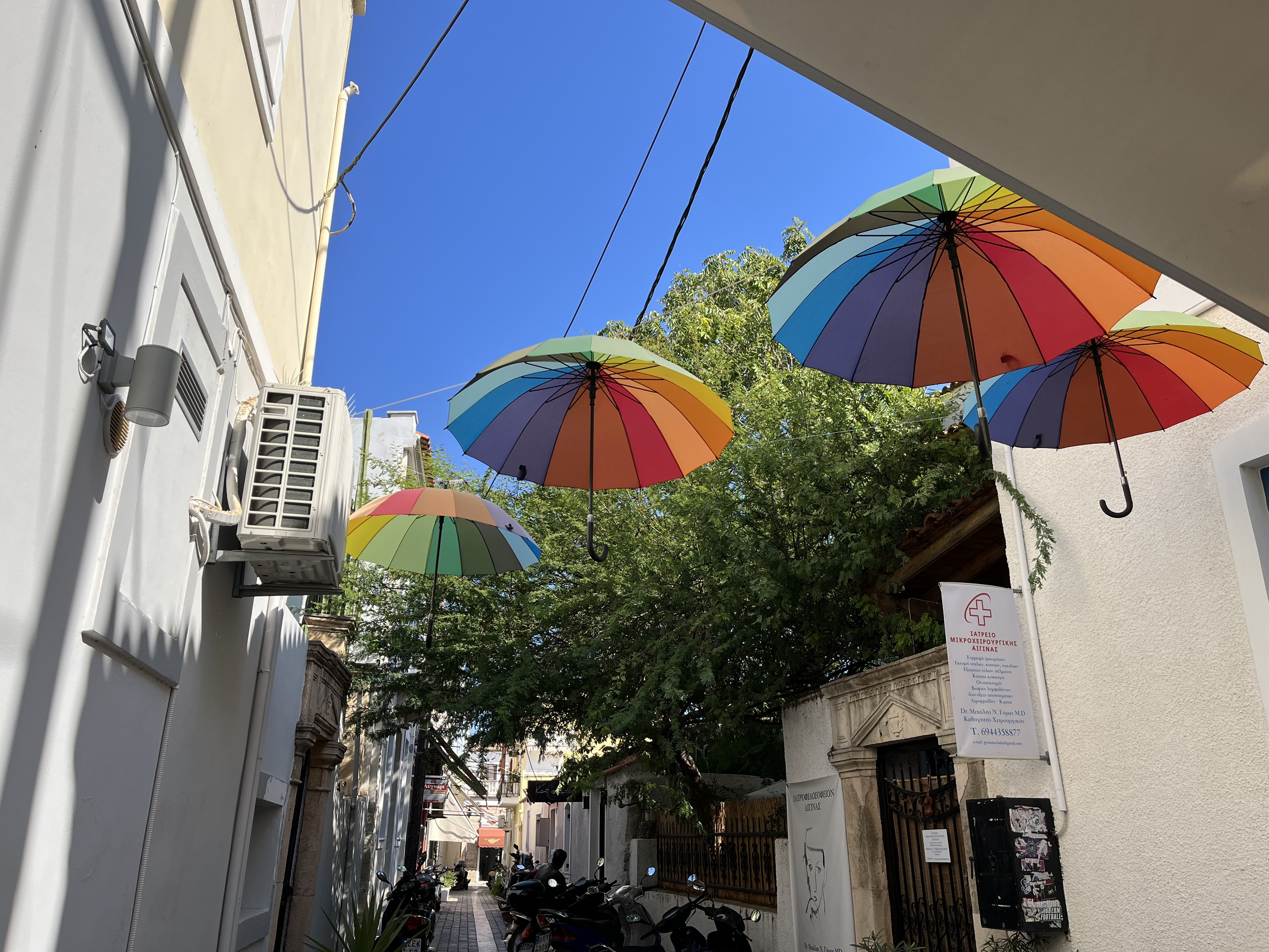 IMG_0481.jpeg