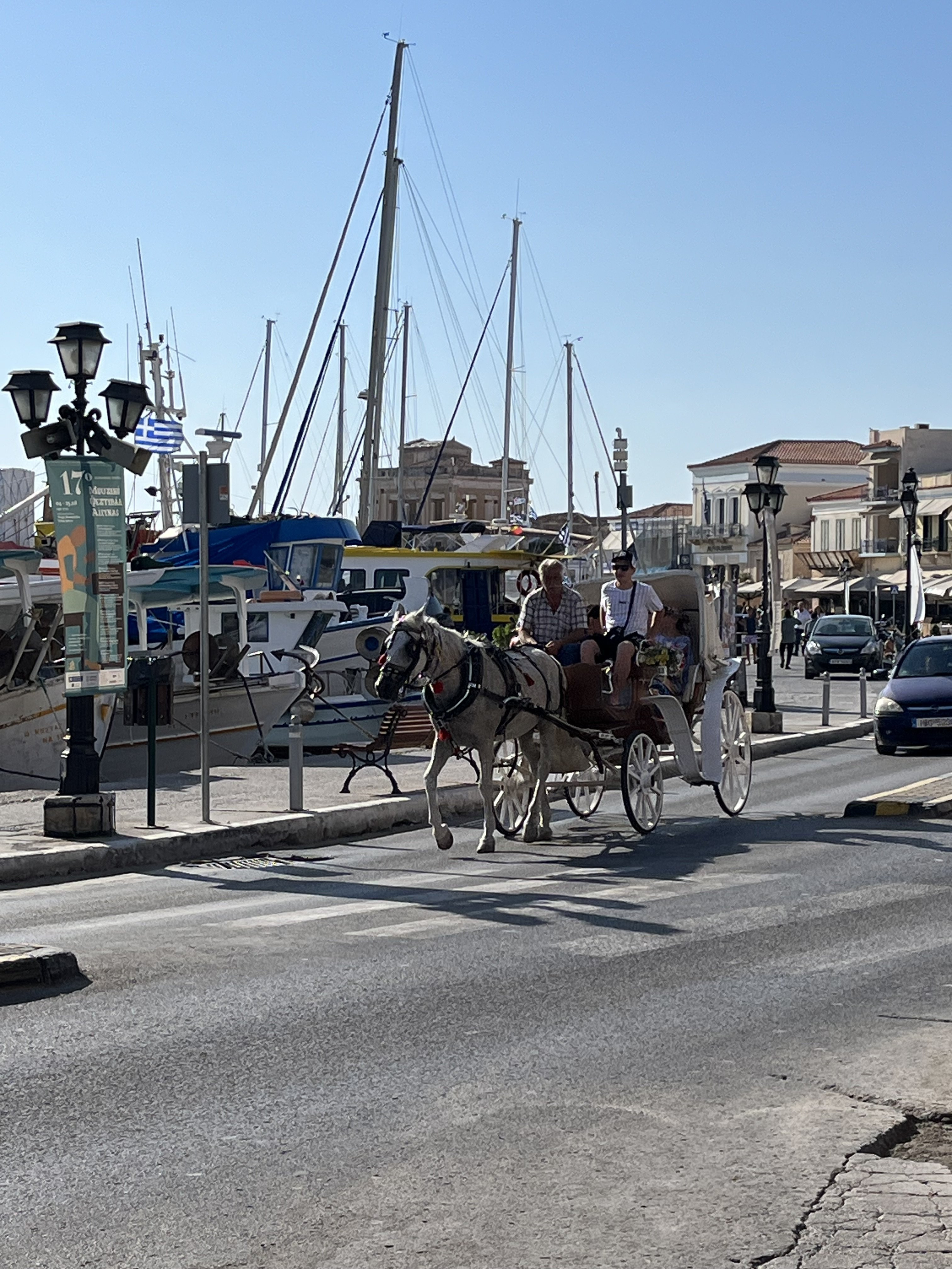 IMG_0487.jpeg