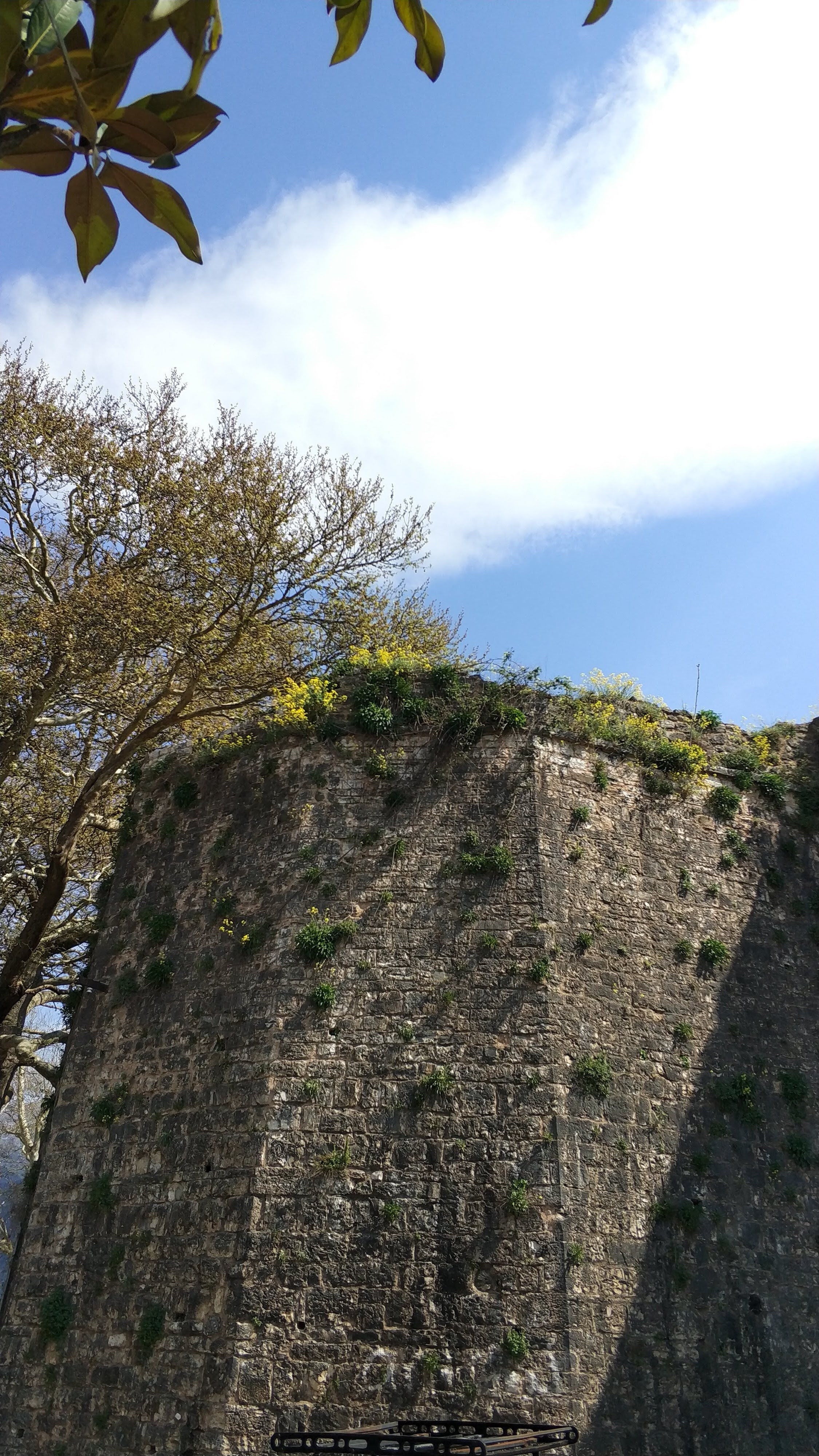 IMG_20180407_114522.jpg