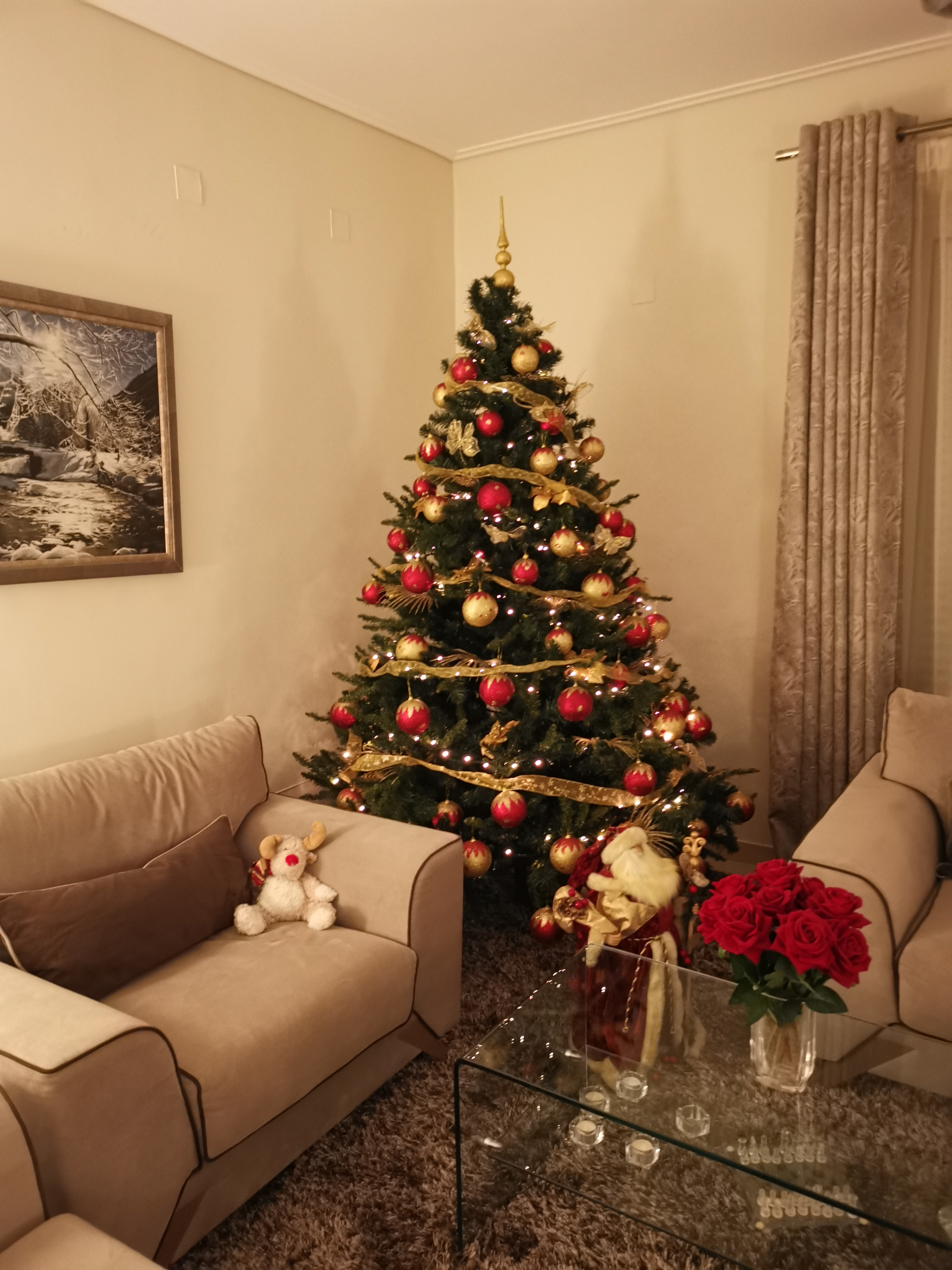 IMG_20201204_234136.jpg