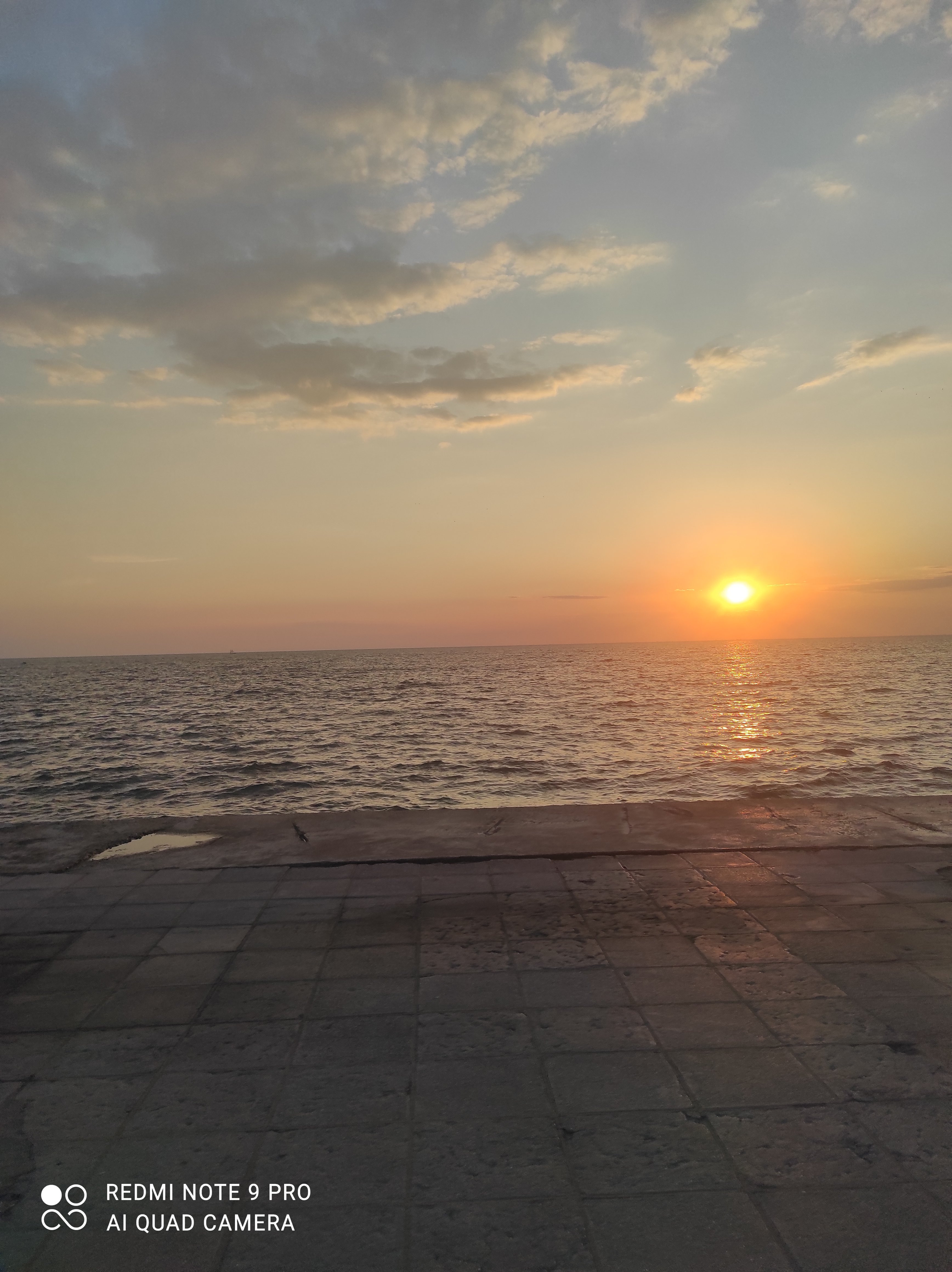 IMG_20230323_182531.jpg