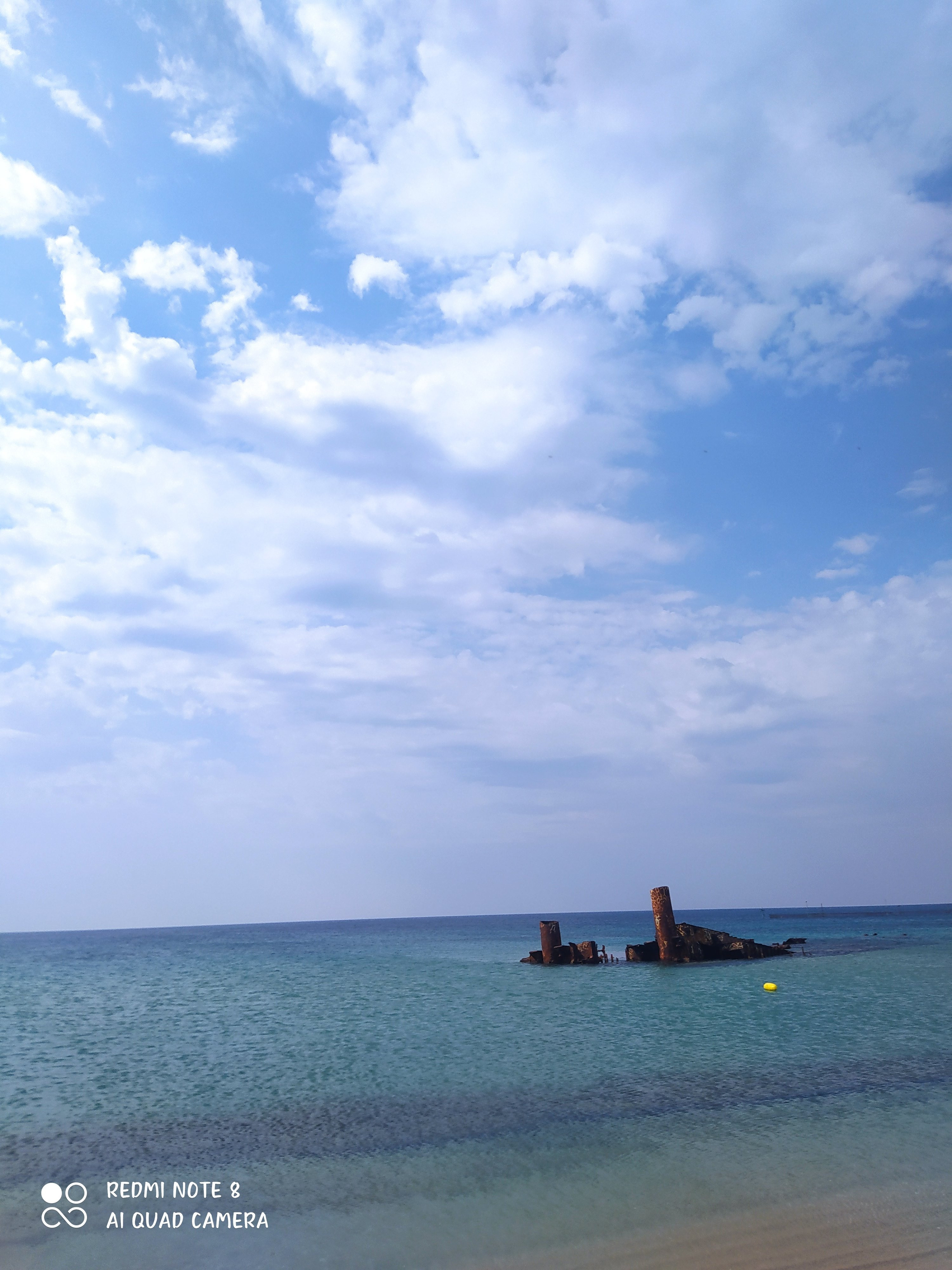 IMG_20230626_102534.jpg