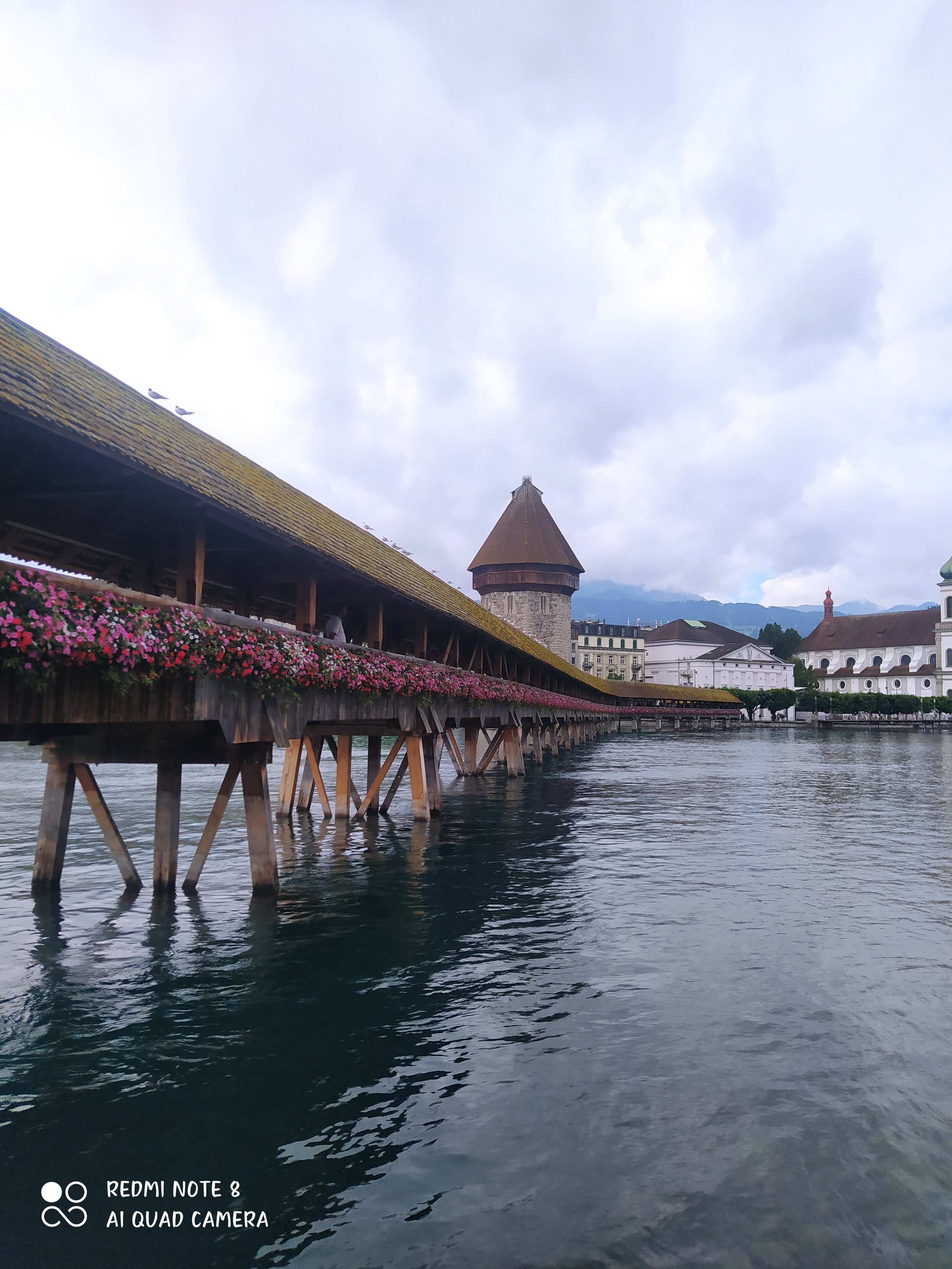 IMG_20230702_110018.jpg
