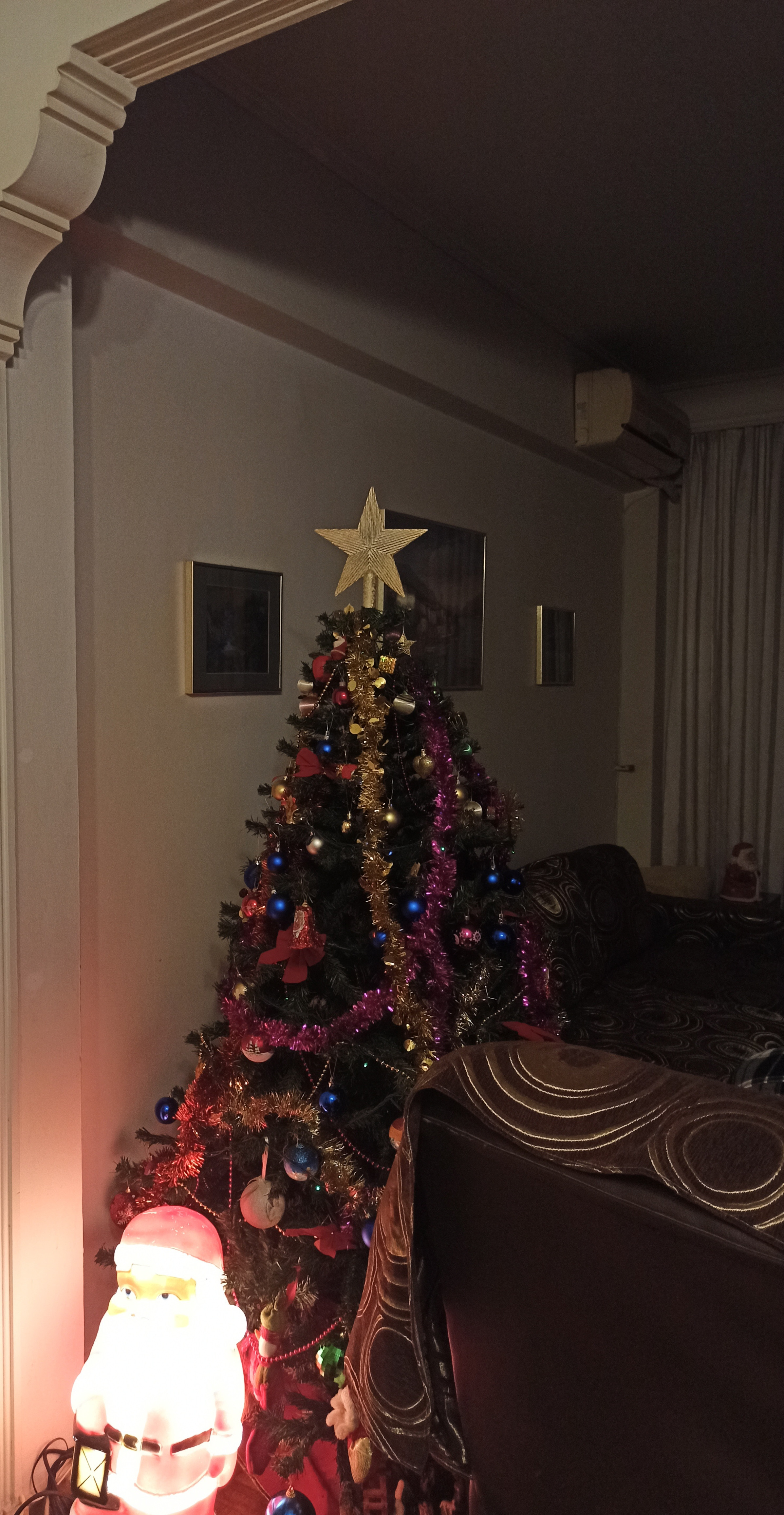 IMG_20231129_214516.jpg