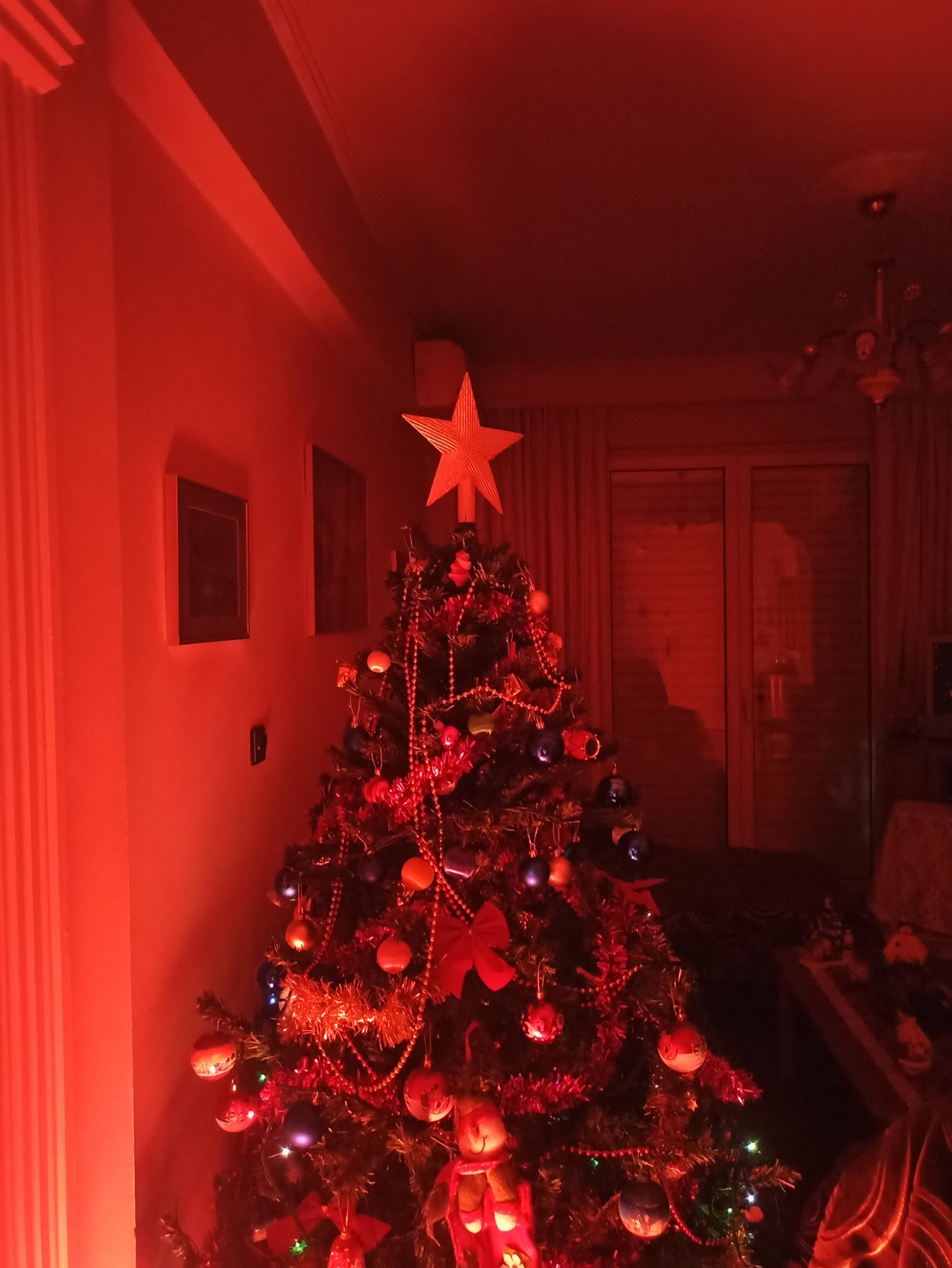 IMG_20241201_221400.jpg