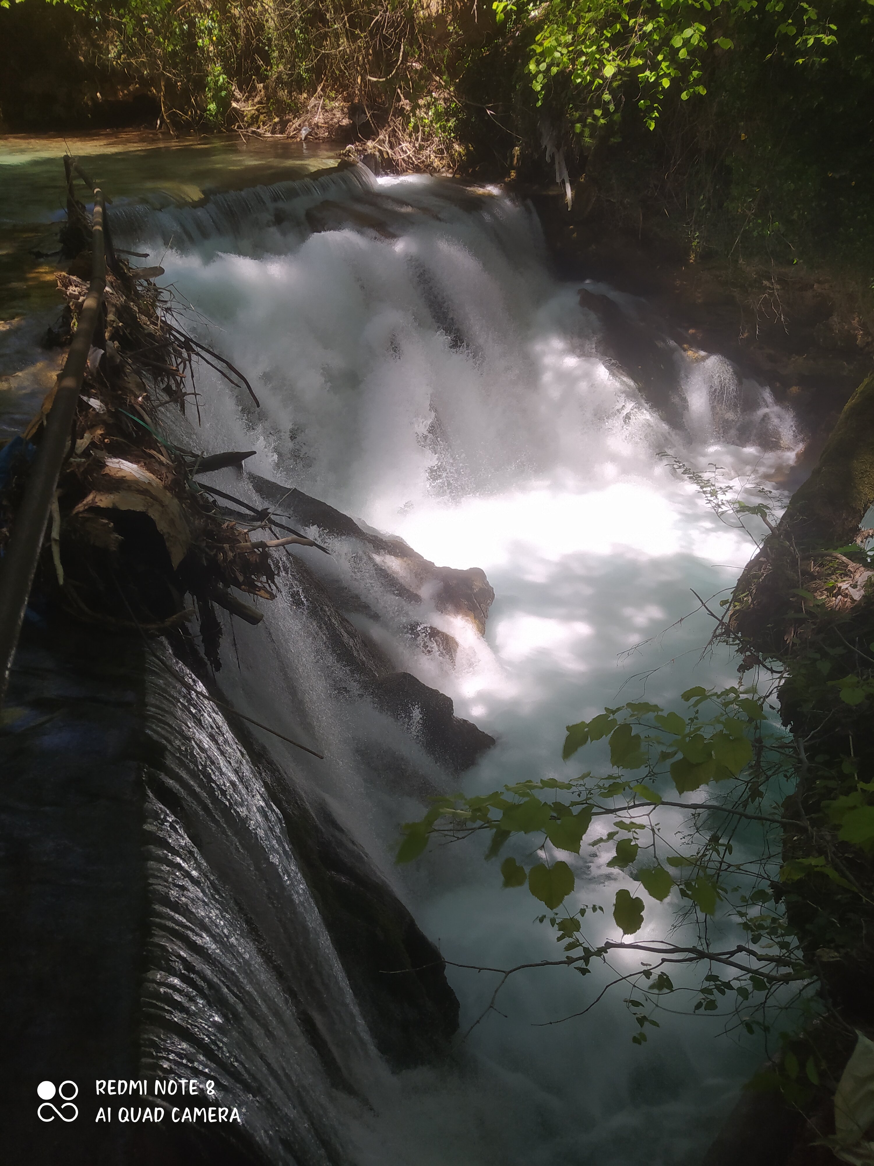 IMG_20260505_121000.jpg