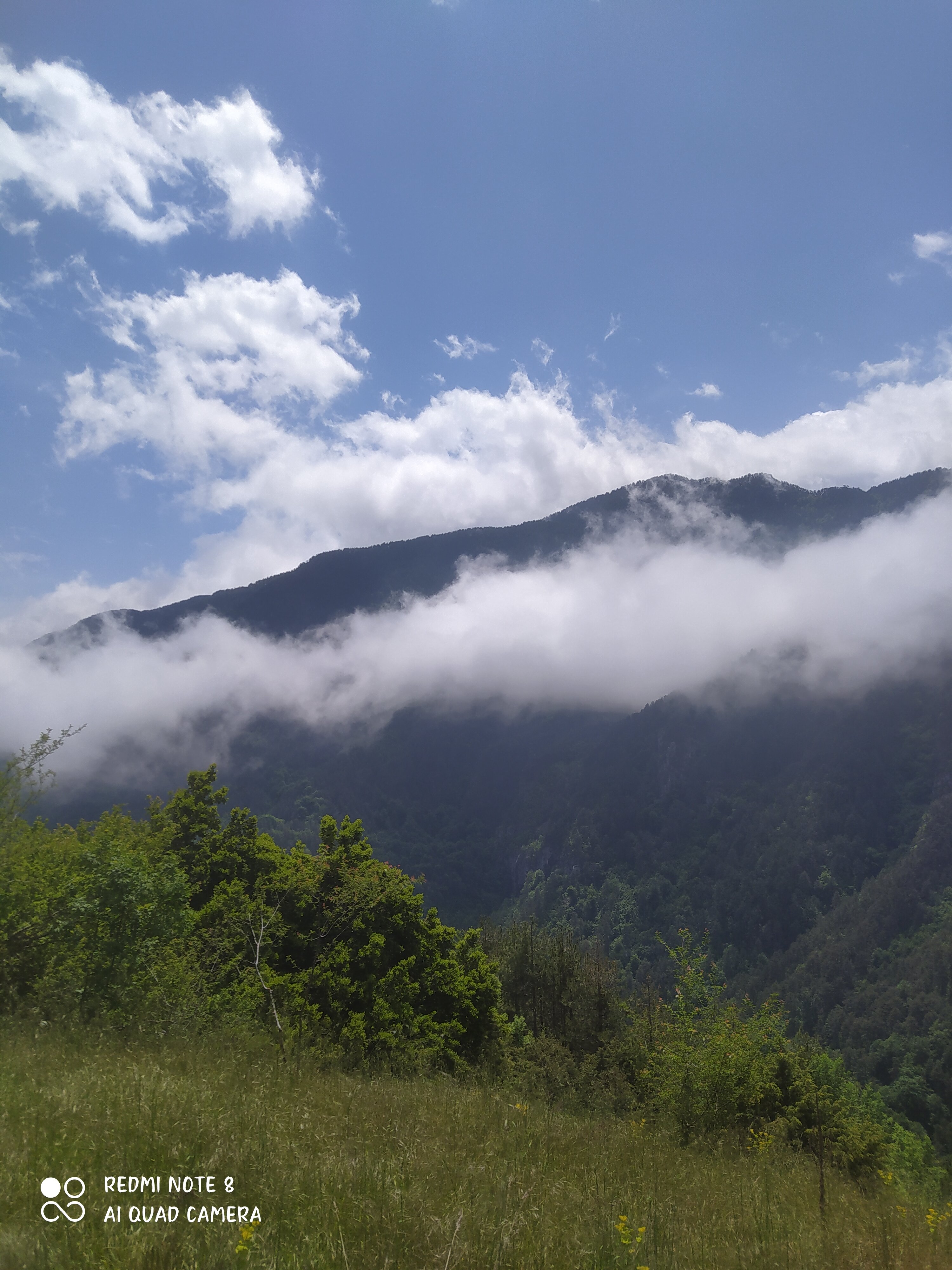 IMG_20260516_130429.jpg