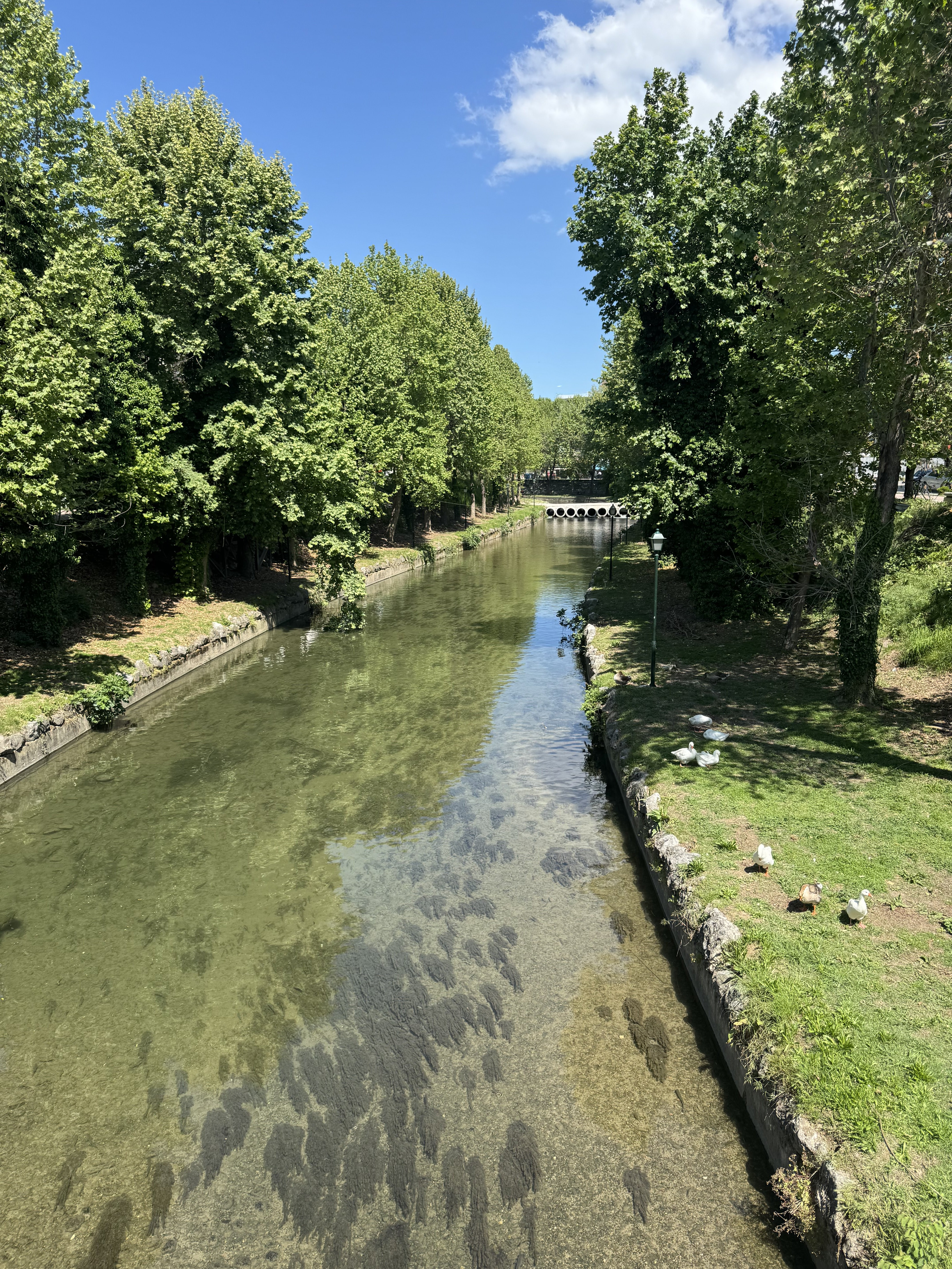 IMG_2050.jpeg