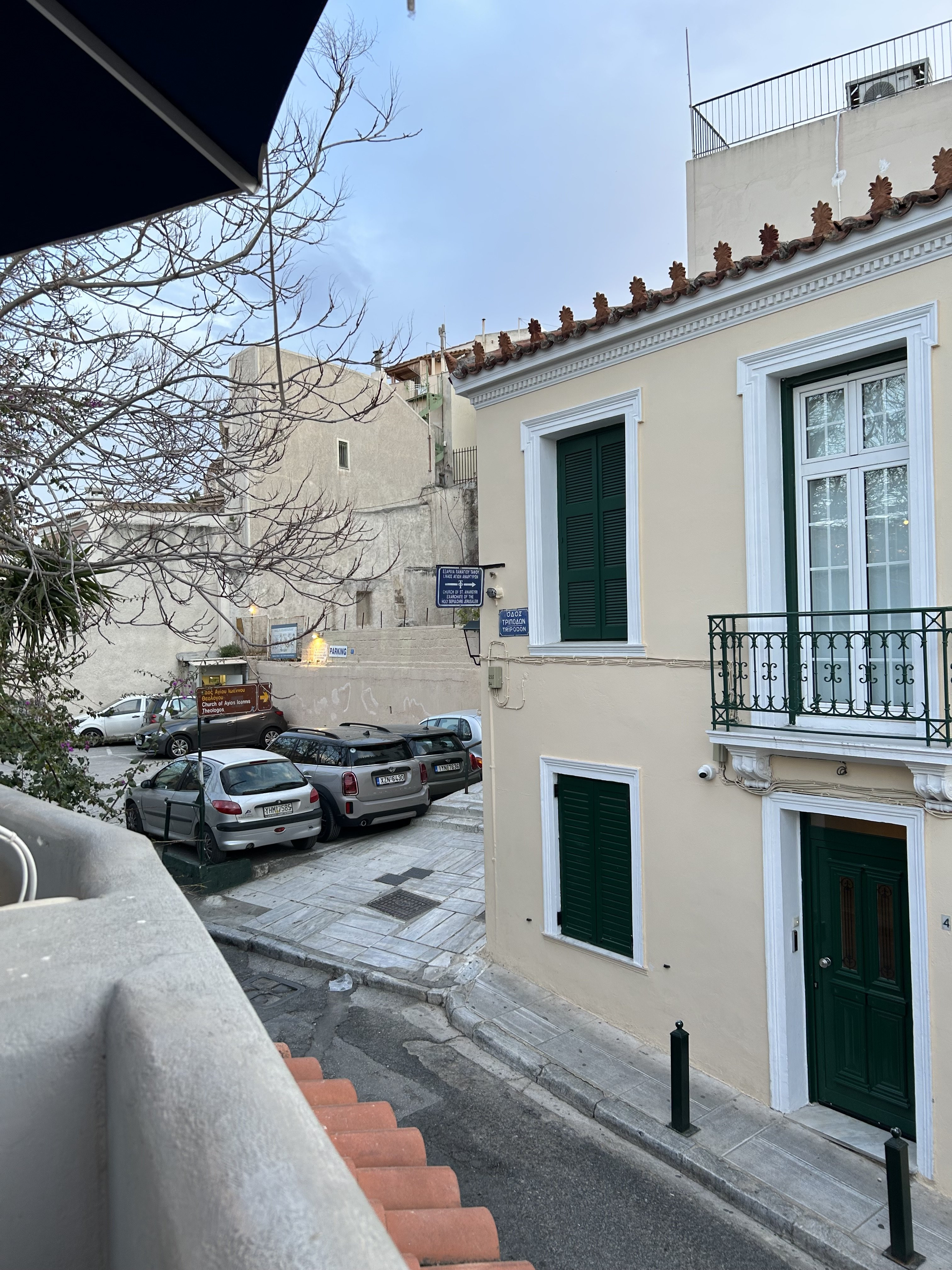 IMG_2203.jpeg