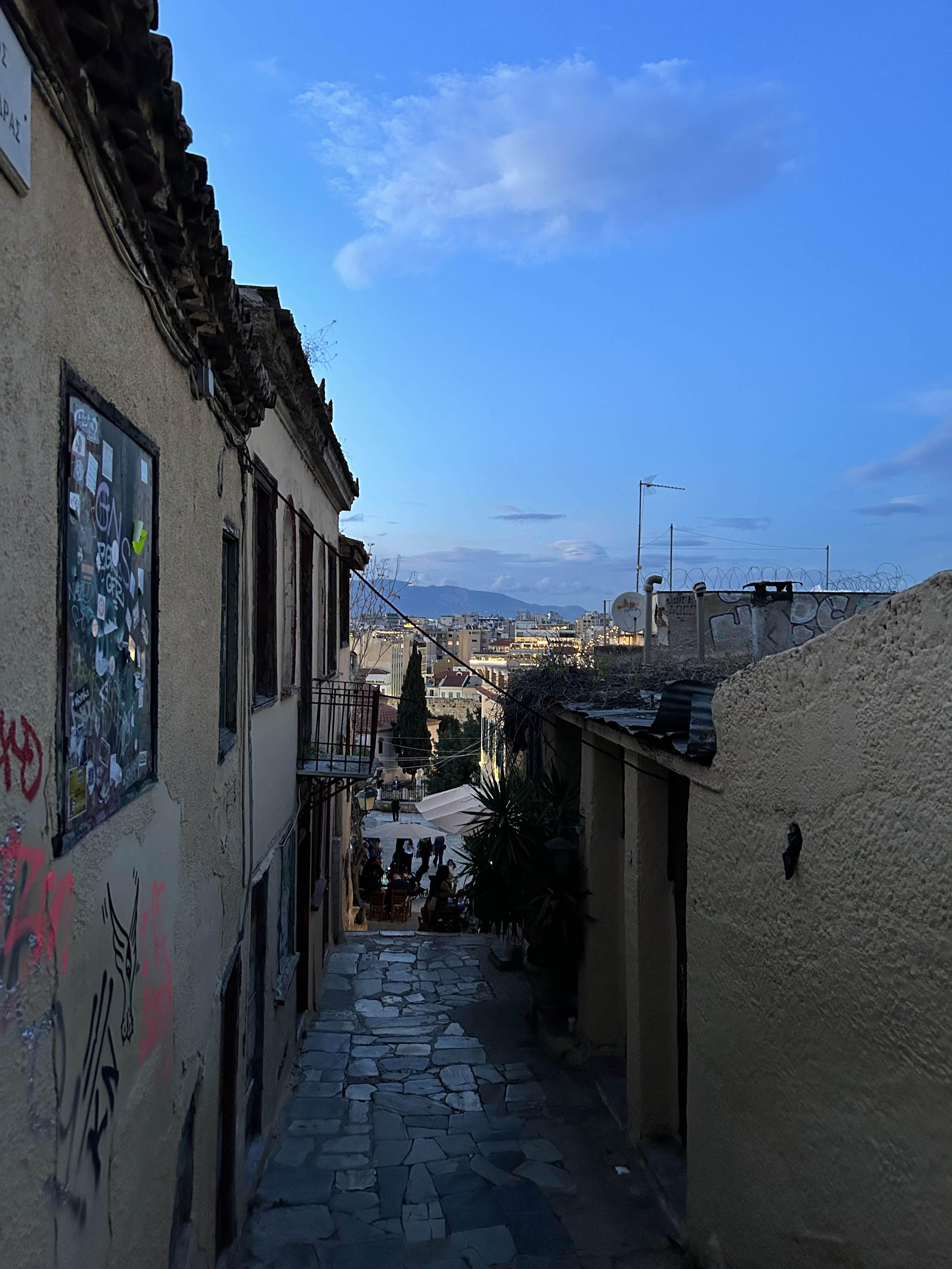 IMG_2209.jpeg