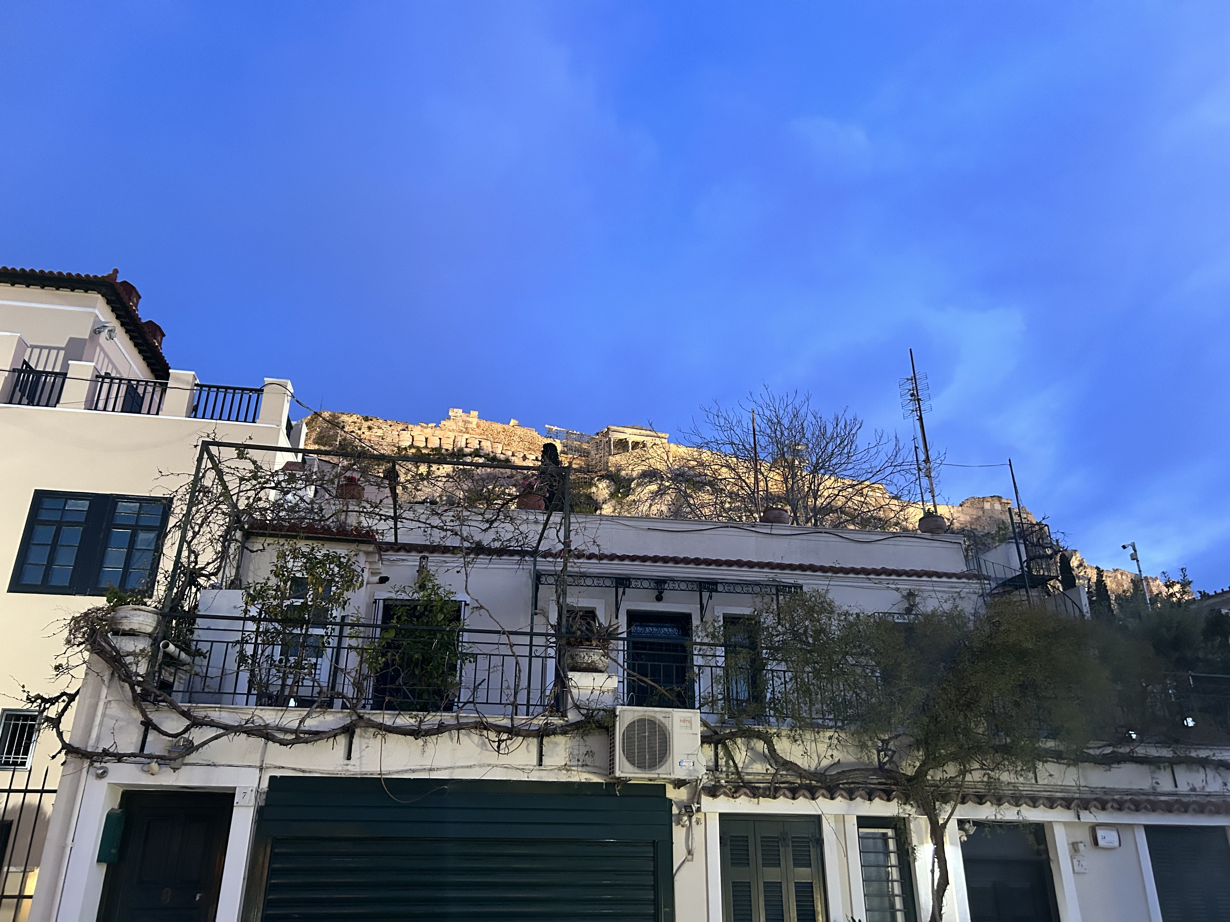 IMG_2214.jpeg