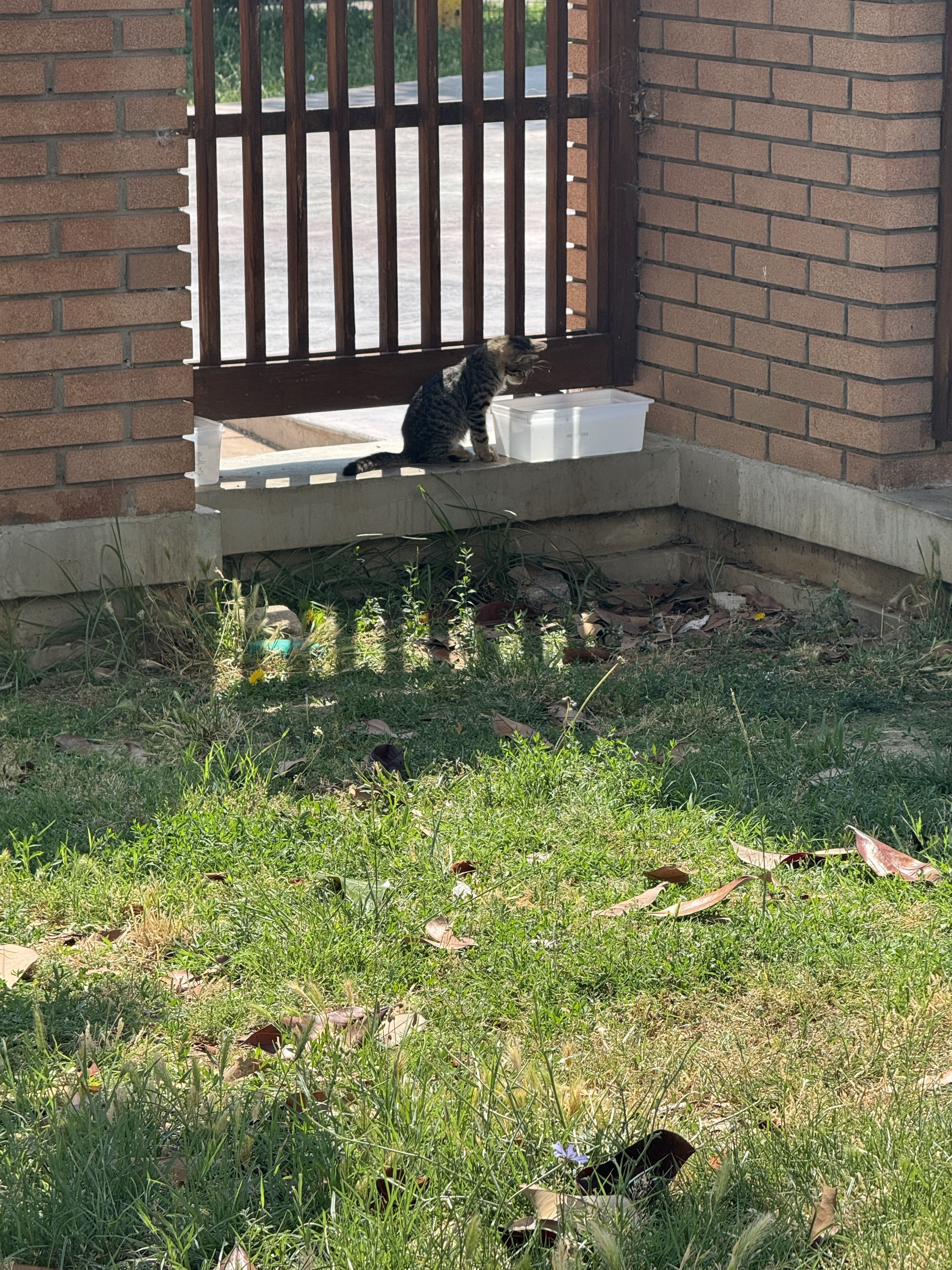 IMG_2572.jpeg