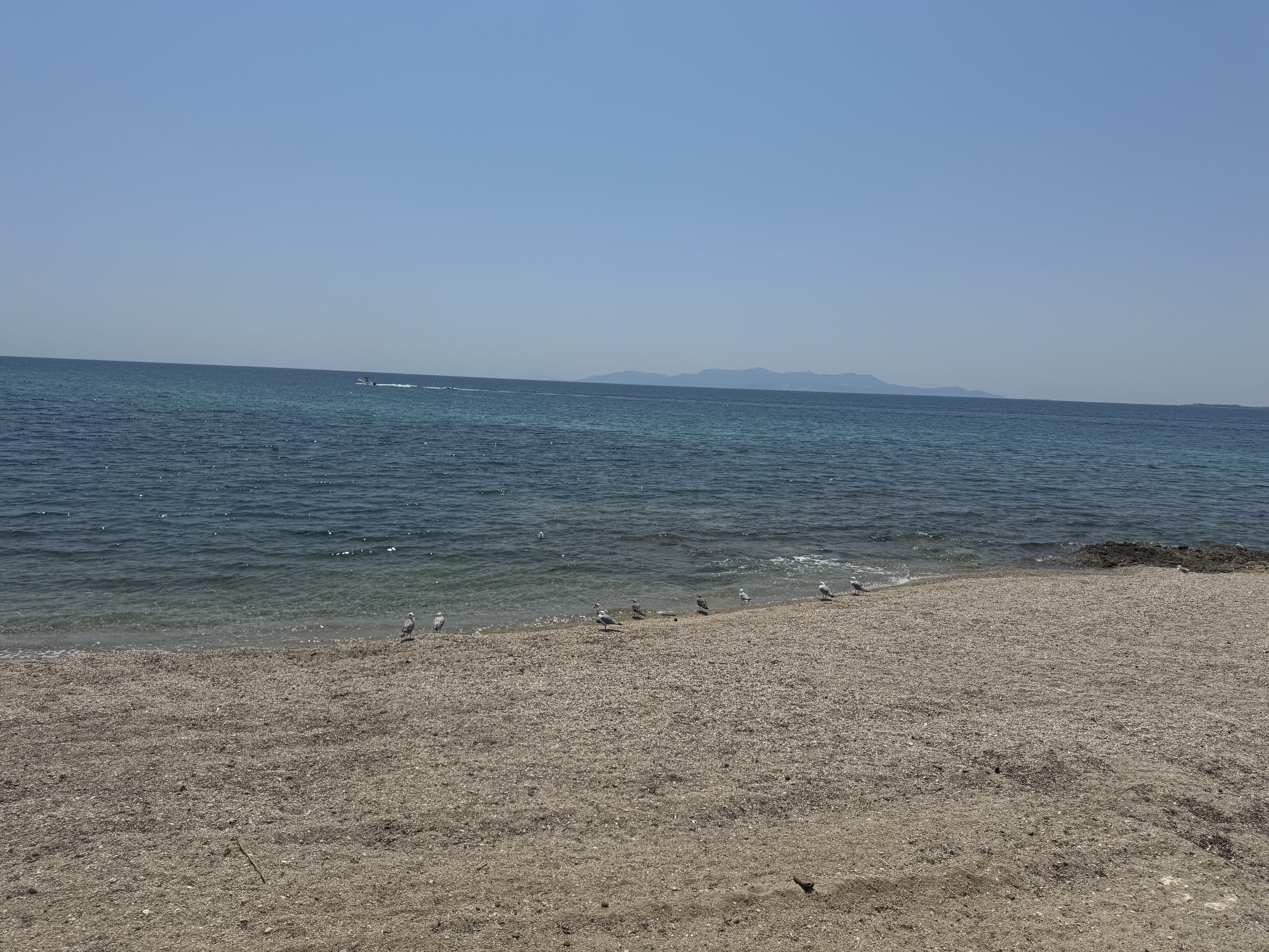 IMG_2780.jpeg