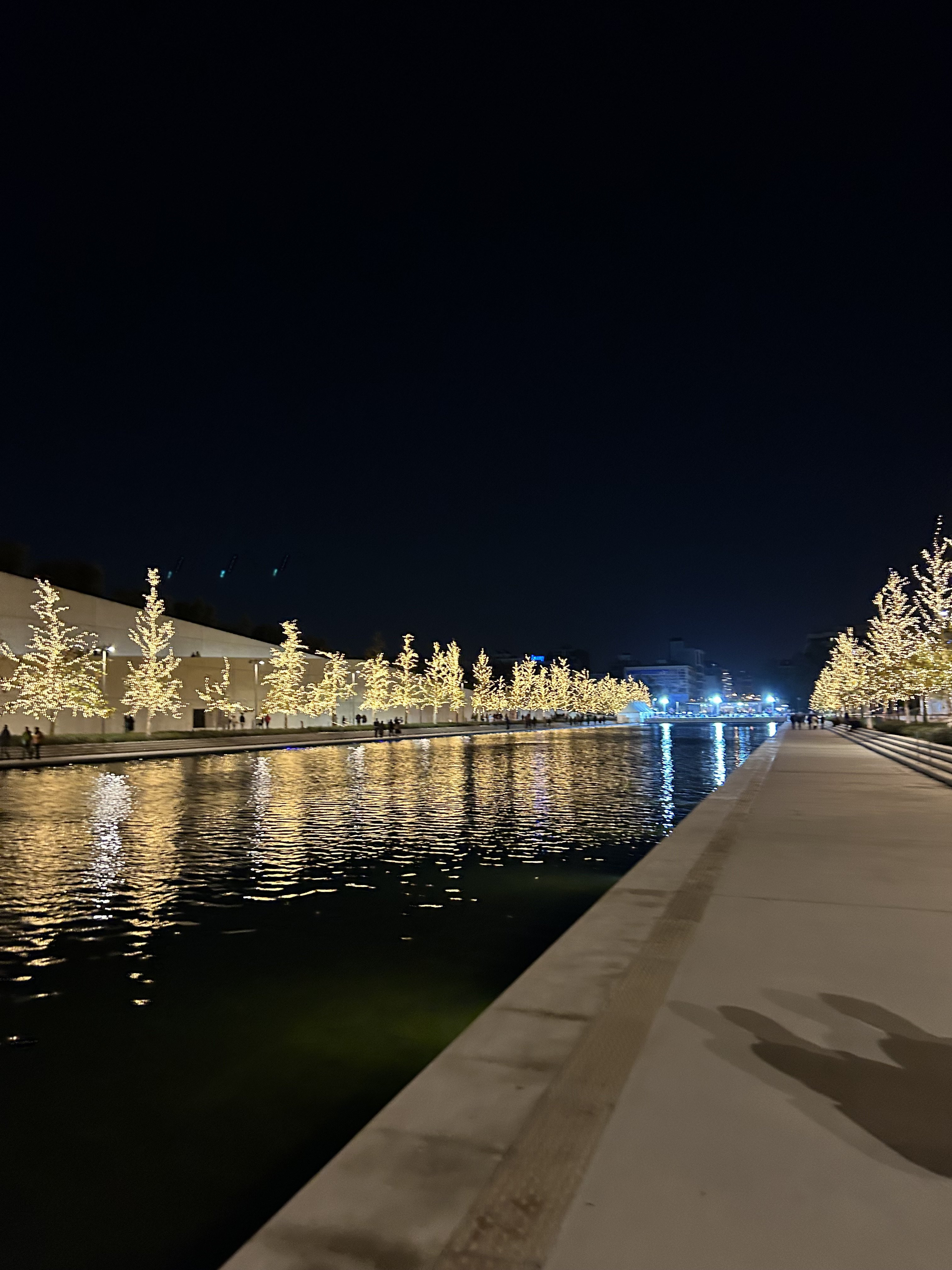 IMG_2818.jpeg
