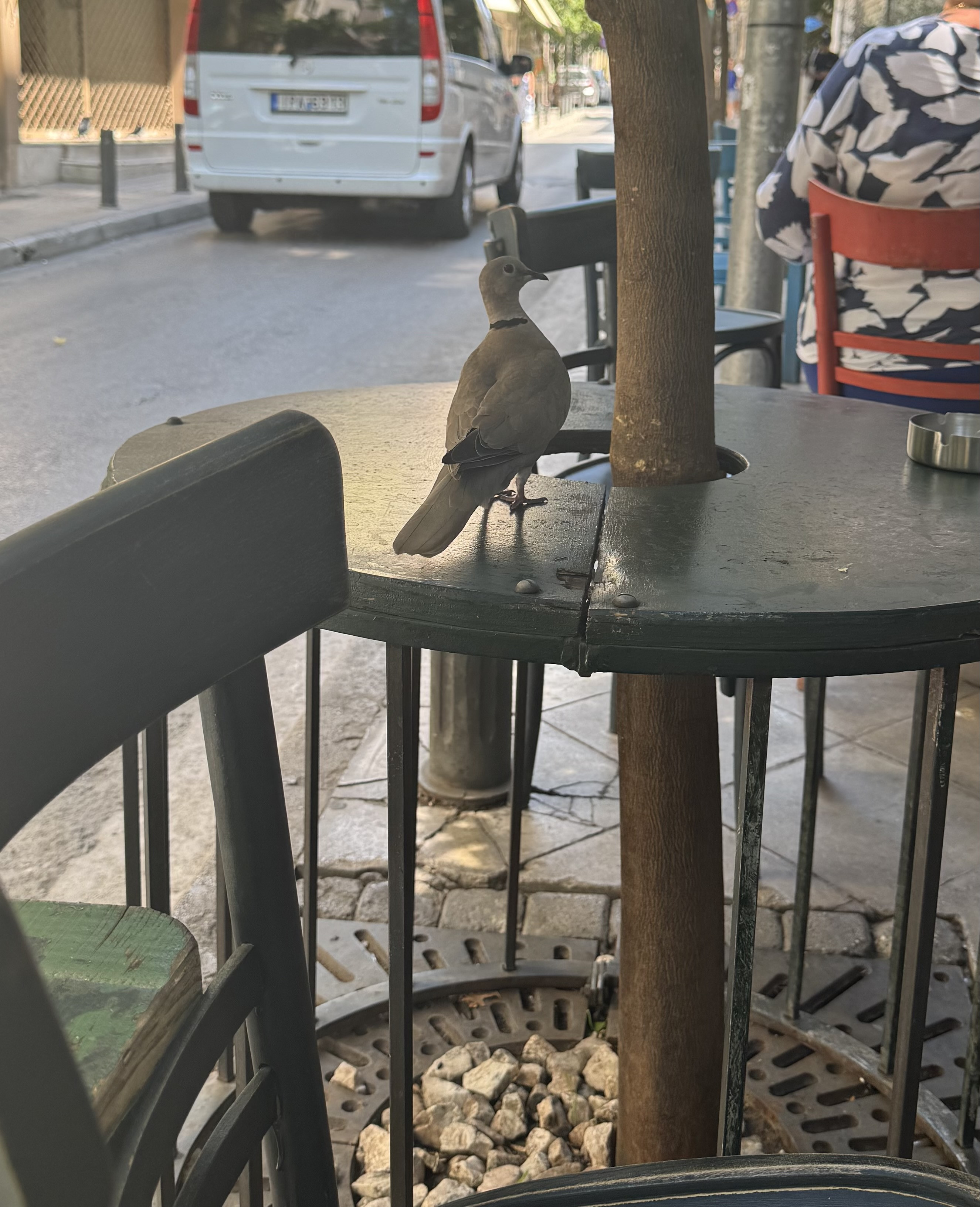 IMG_3181.jpeg