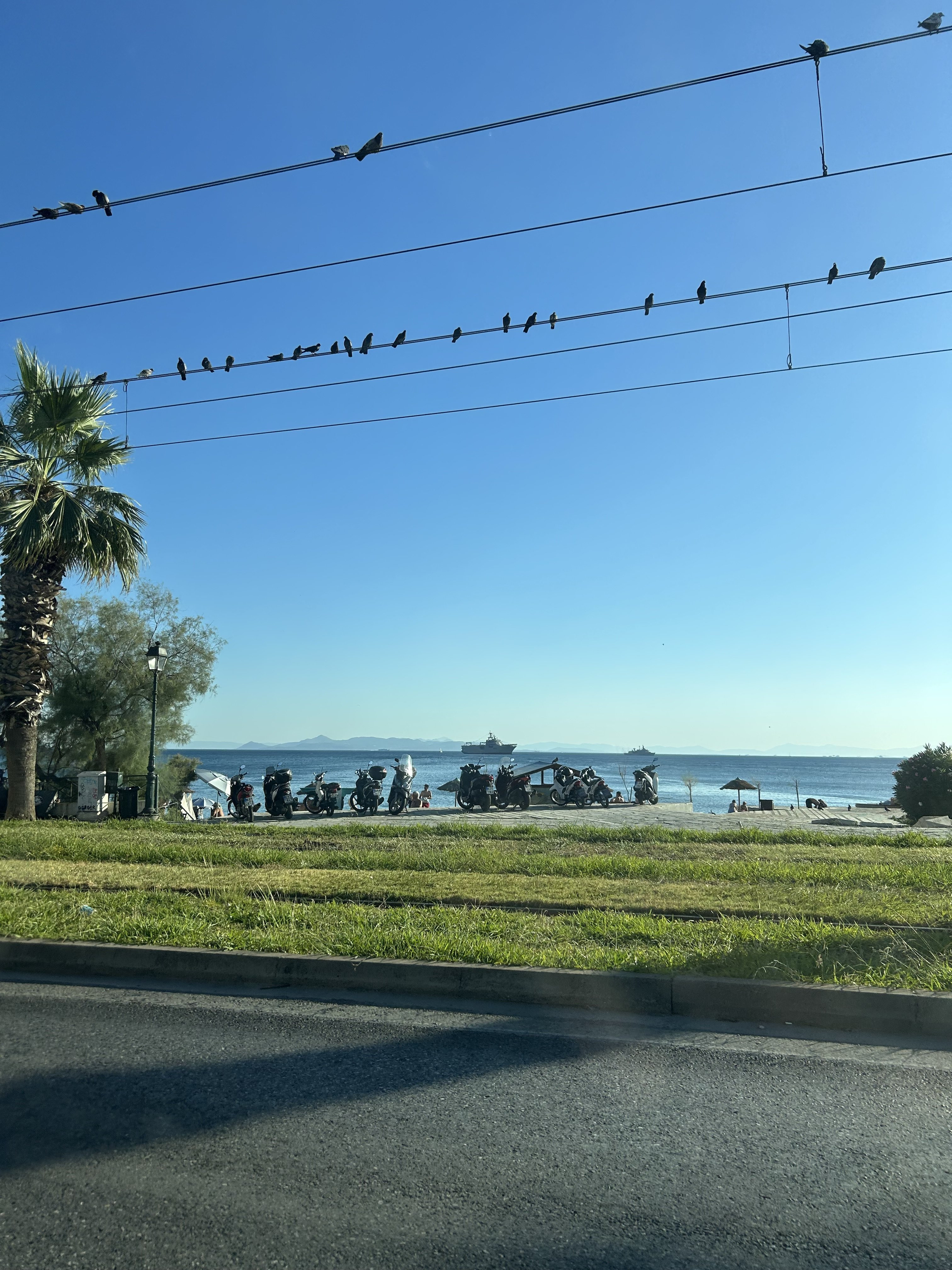 IMG_3206.jpeg