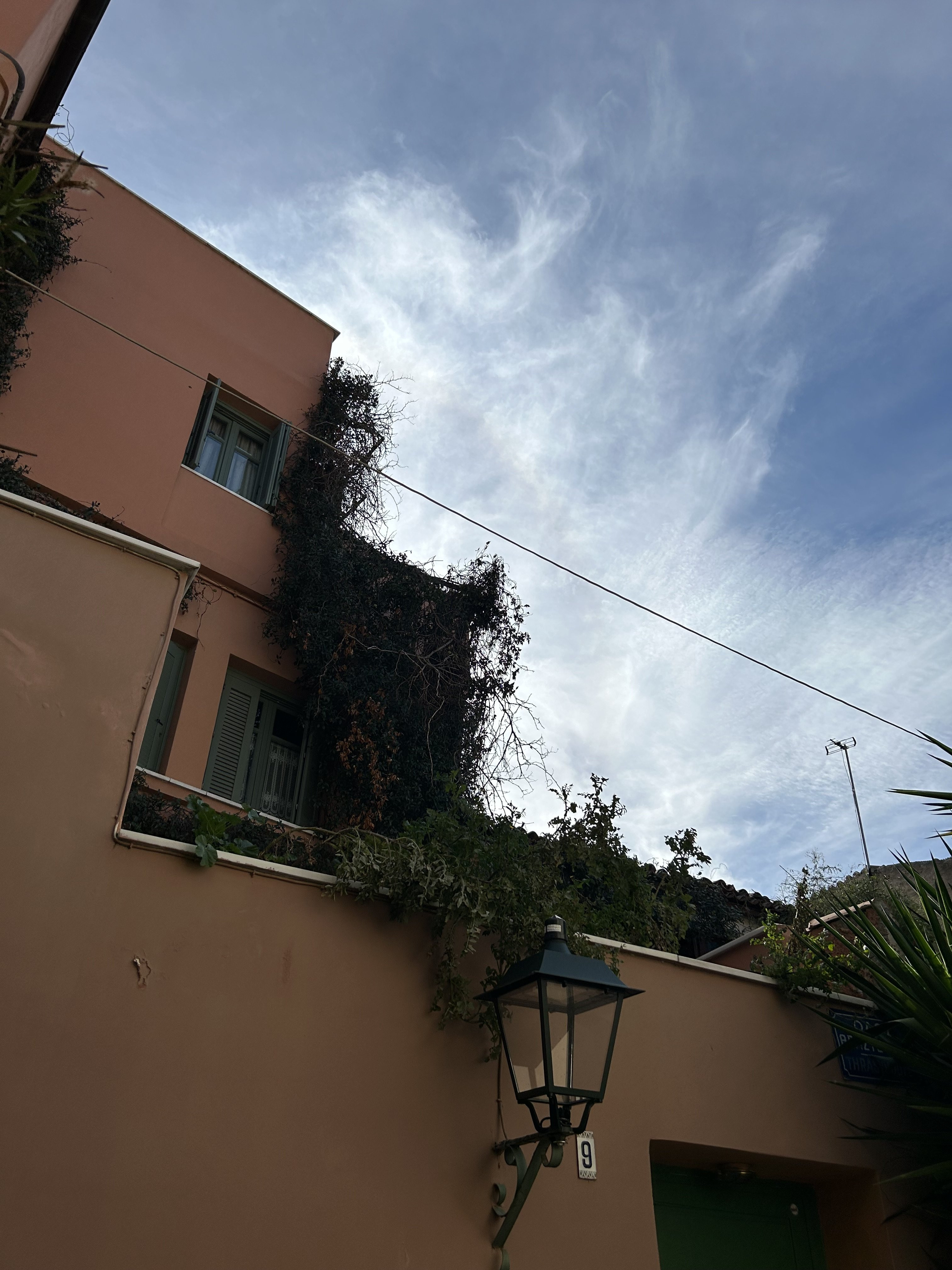 IMG_3361.jpeg