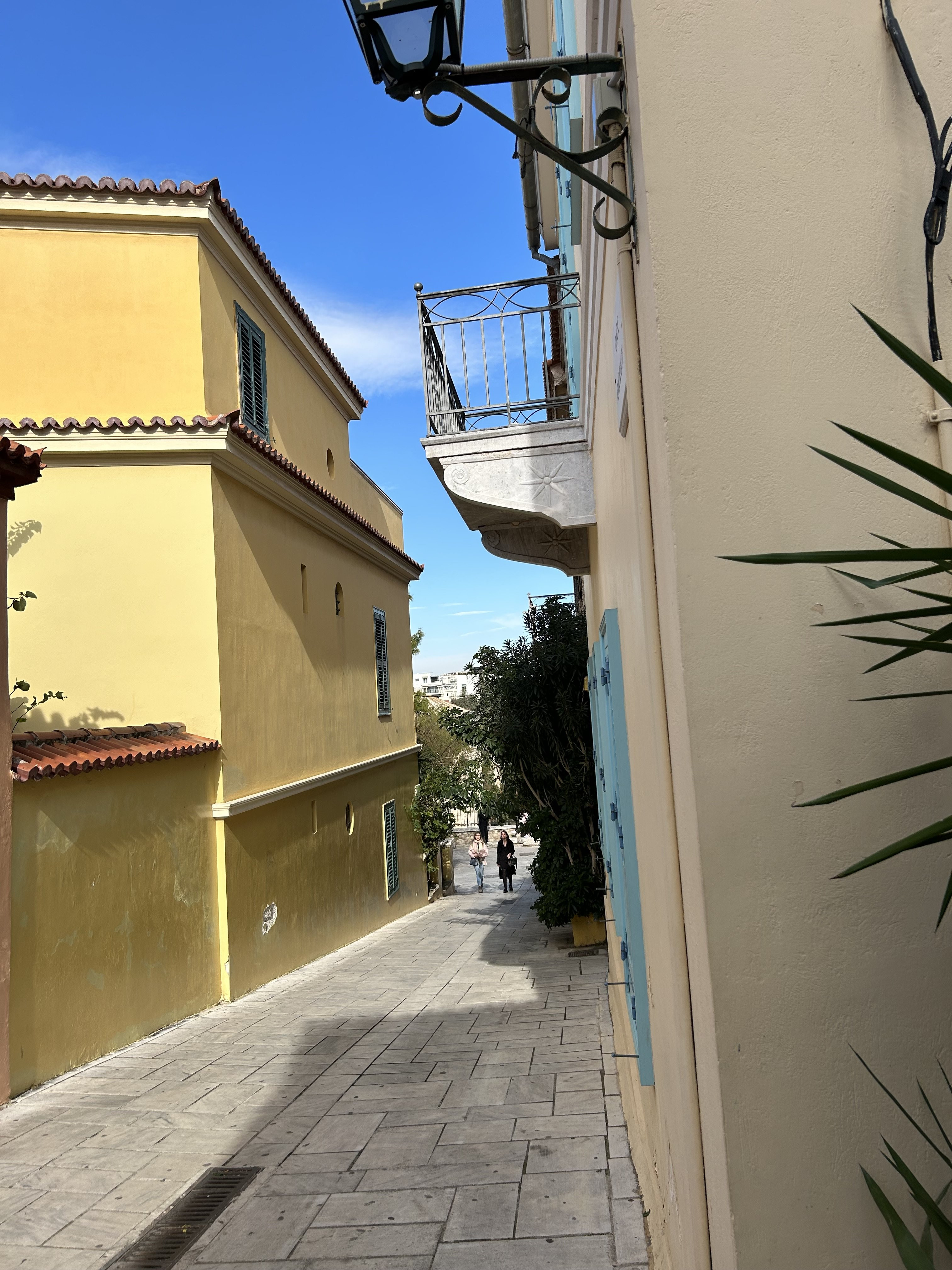 IMG_3362.jpeg