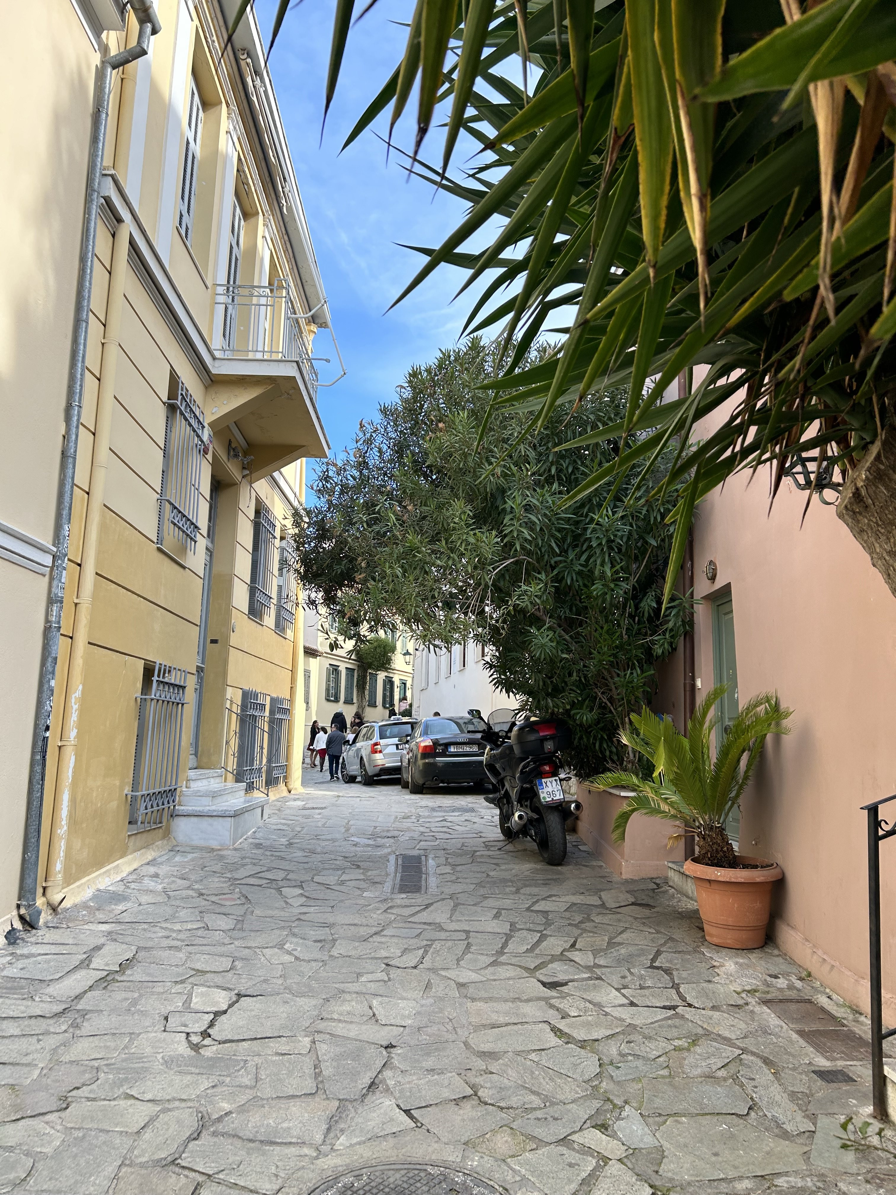 IMG_3363.jpeg