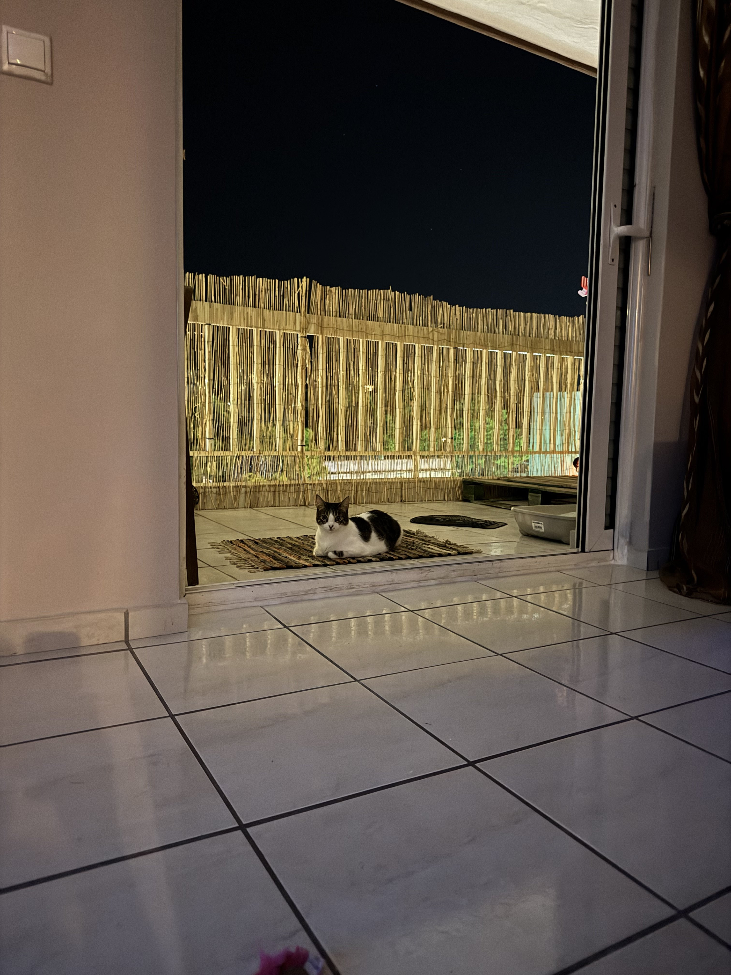 IMG_3364.jpeg