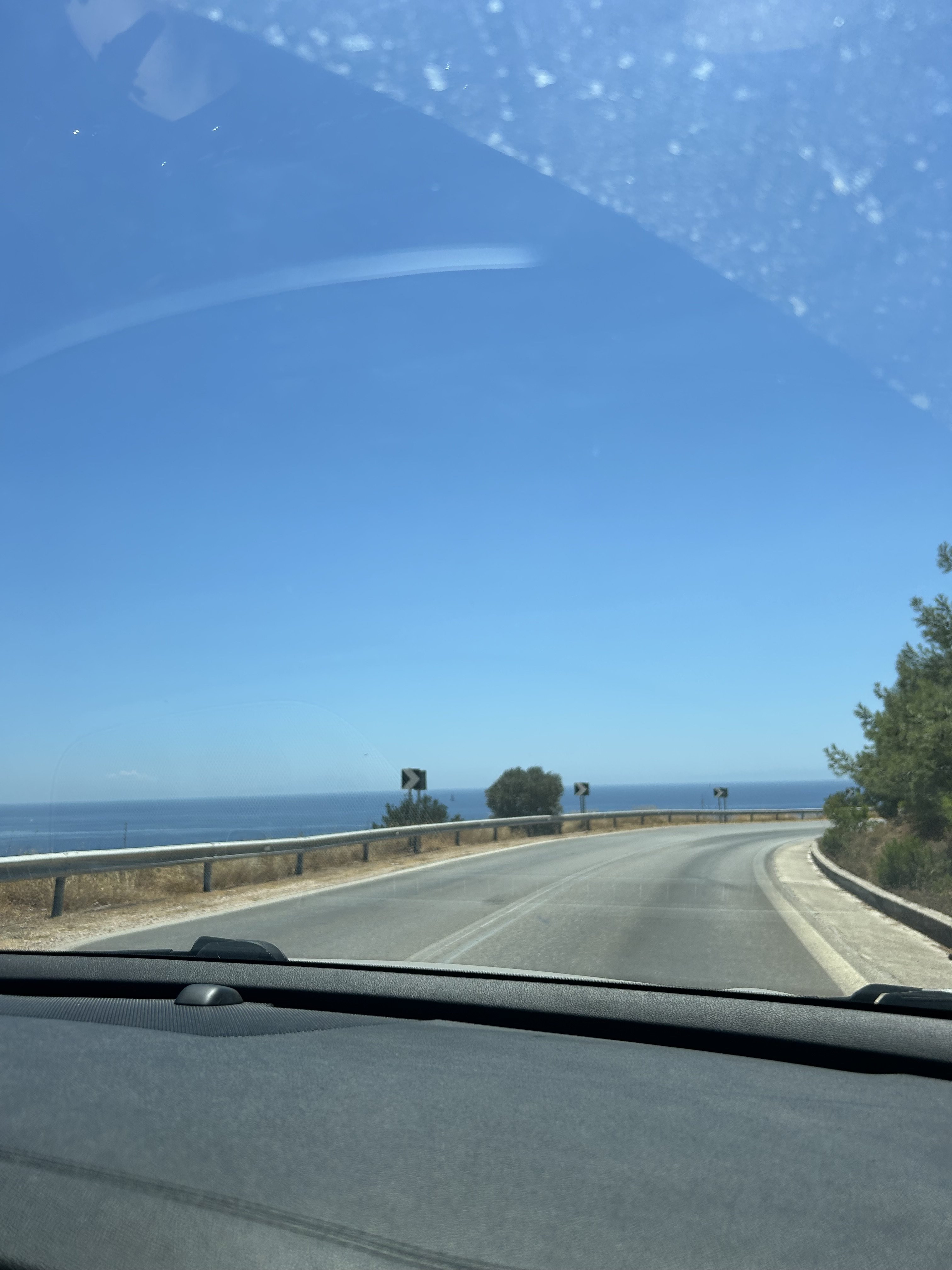 IMG_3565.jpeg