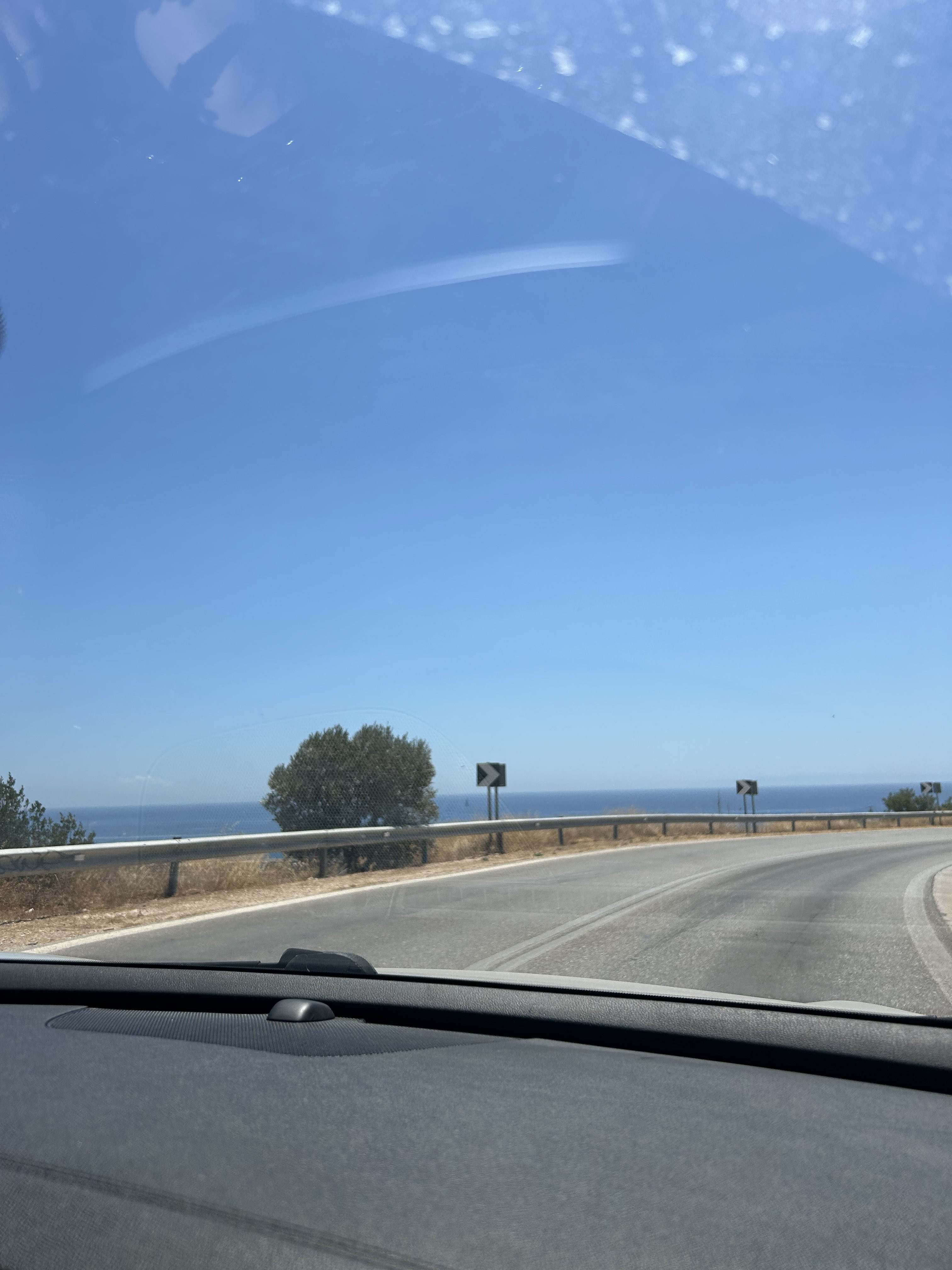IMG_3566.jpeg