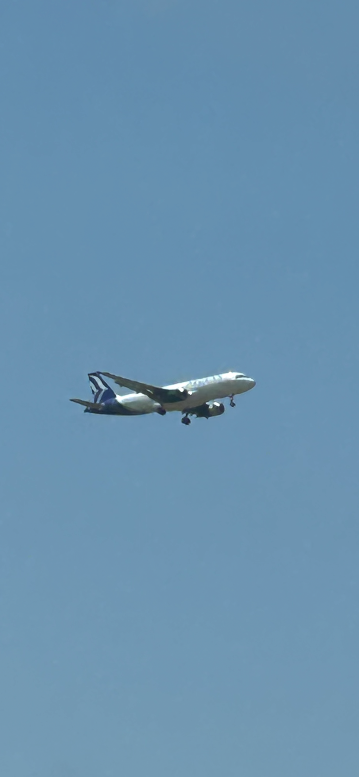 IMG_3769.png
