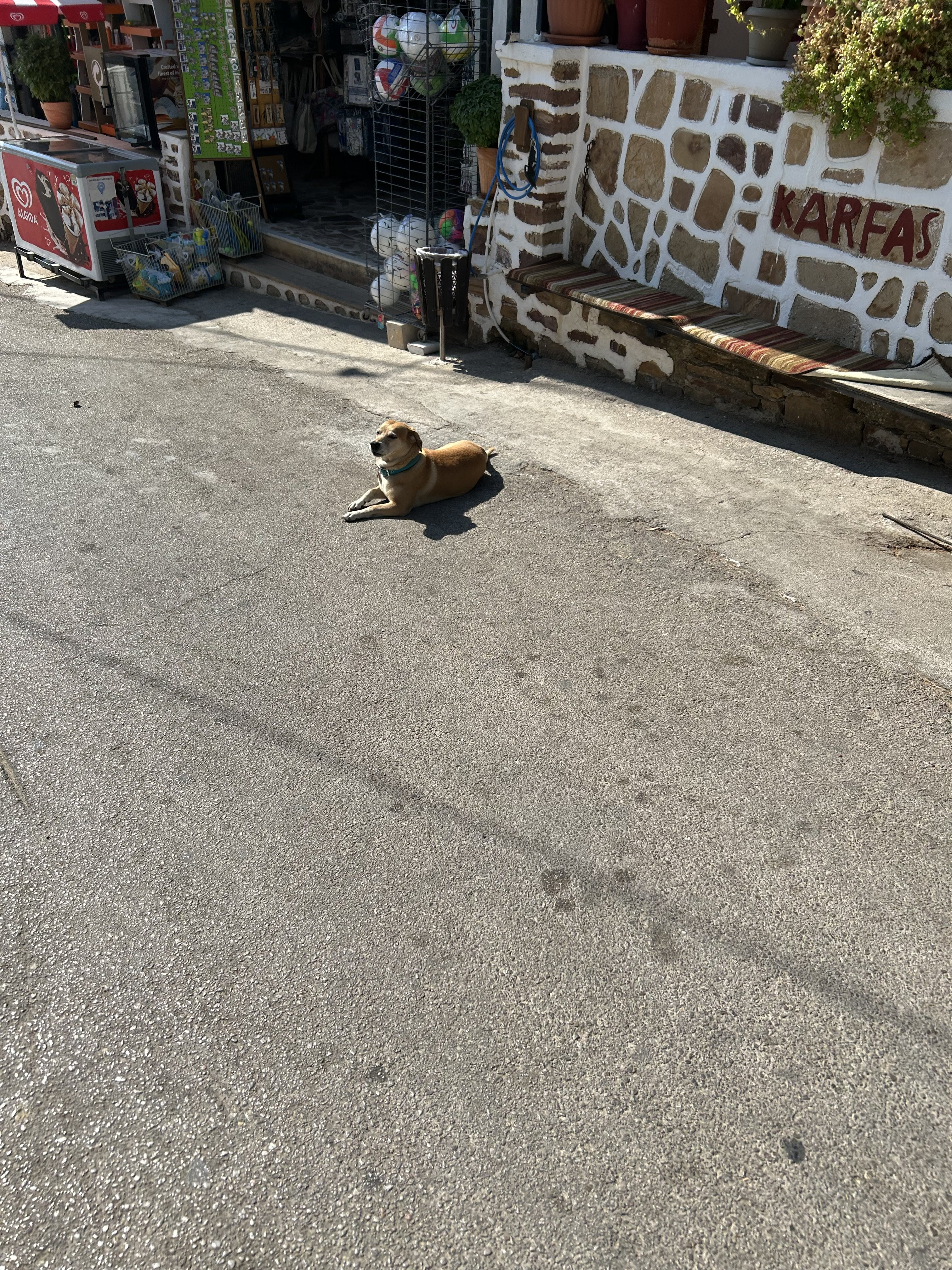 IMG_3779.jpeg