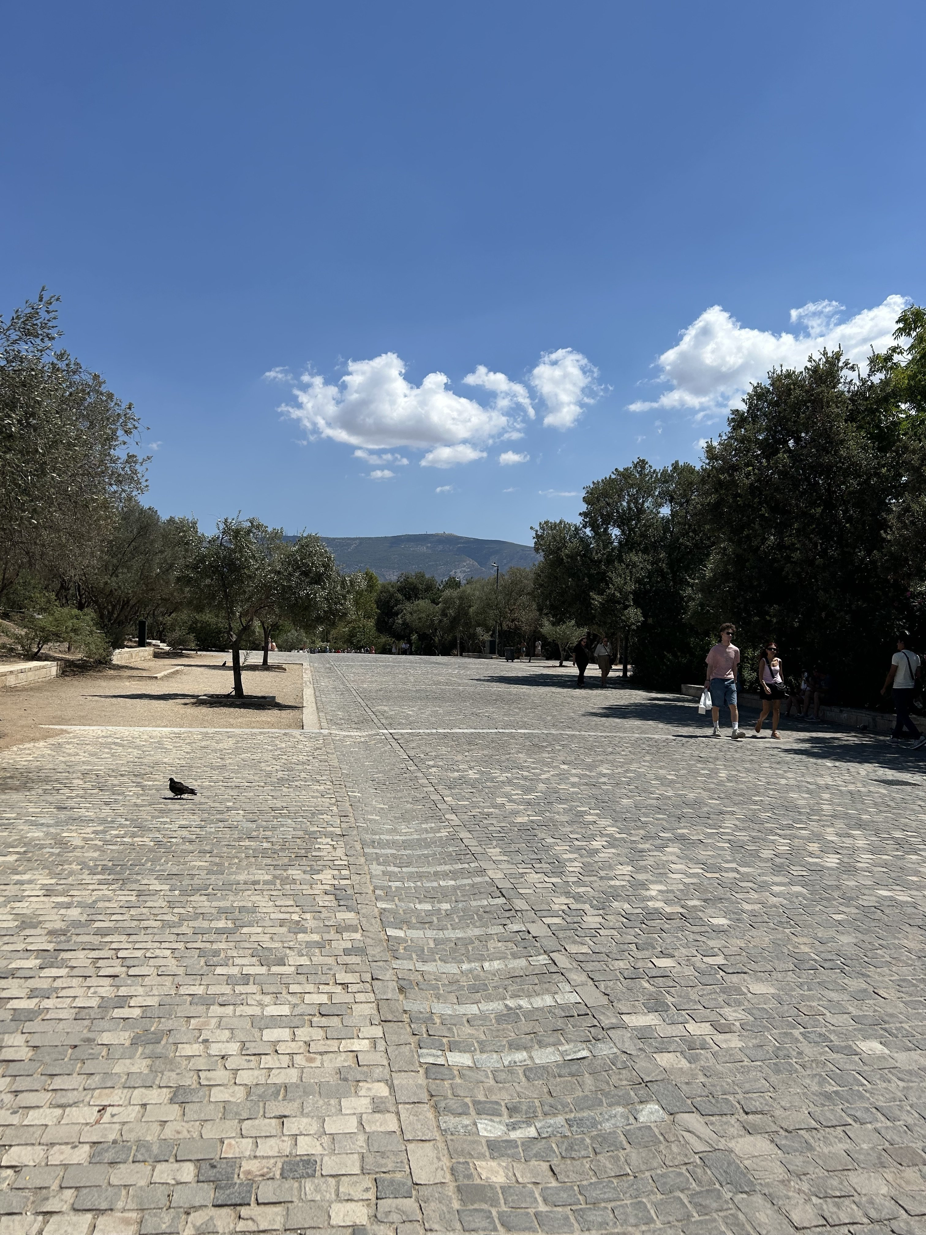 IMG_4029.jpeg