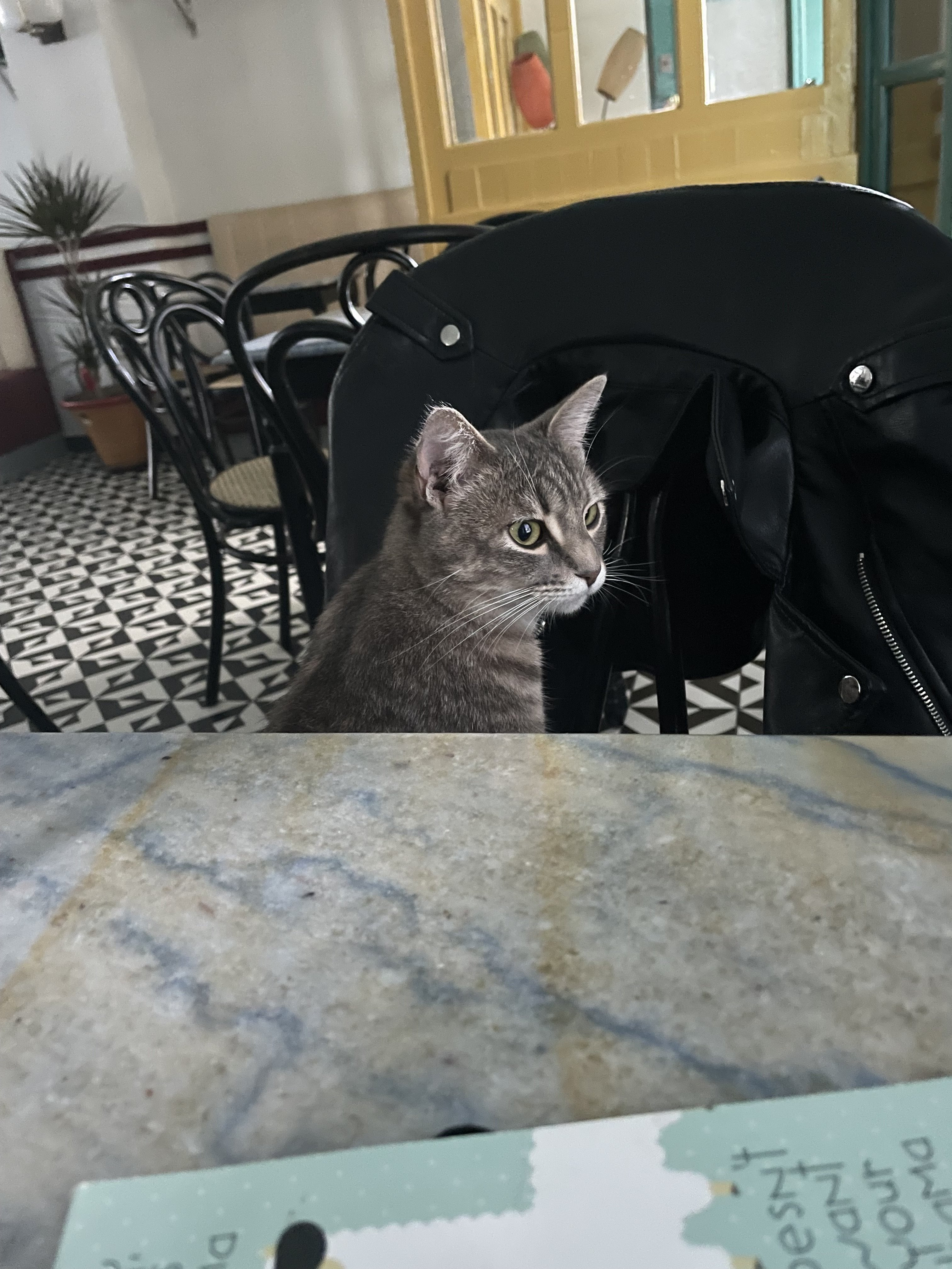 IMG_4697.jpeg