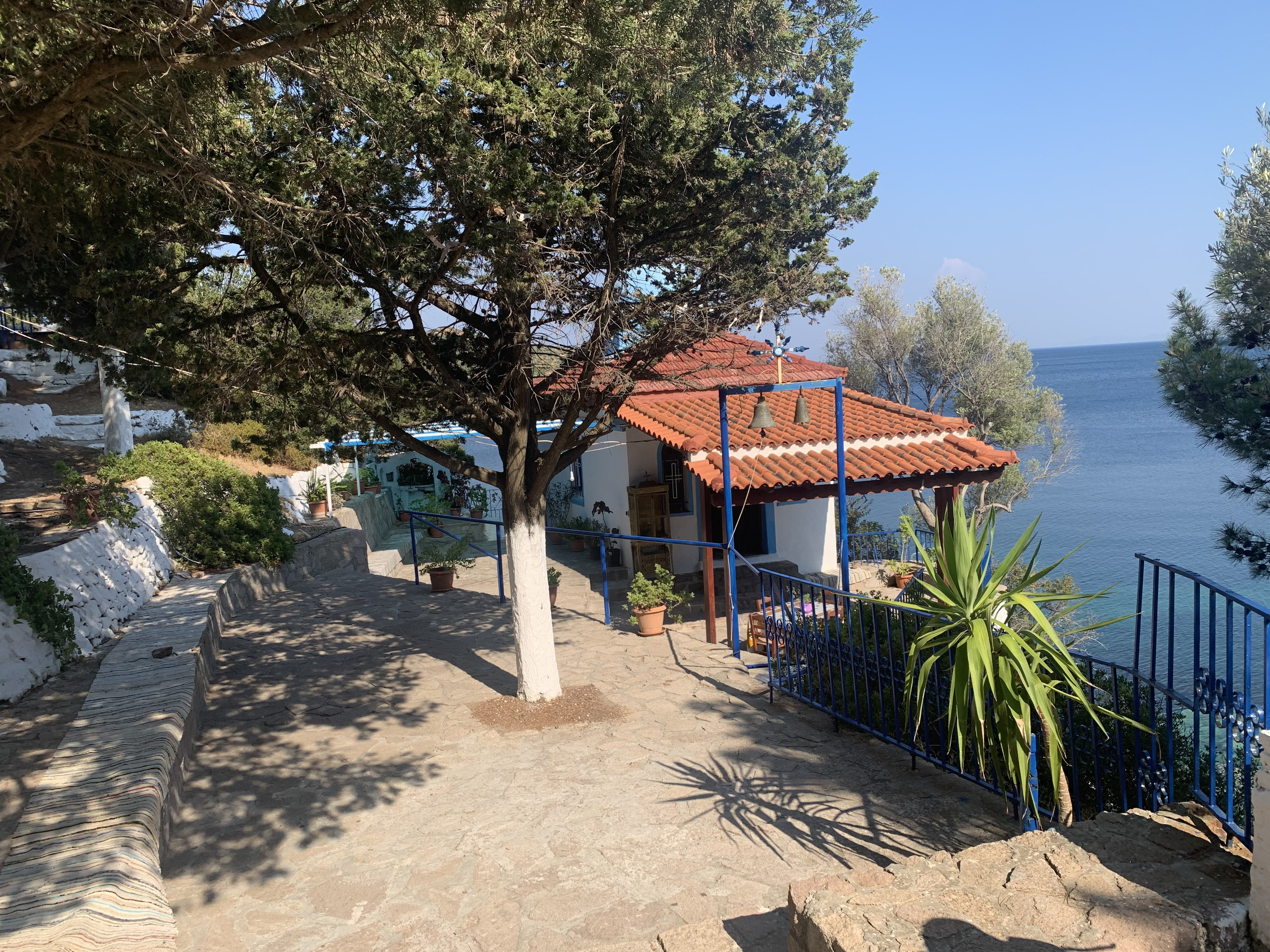 IMG_4862.jpeg