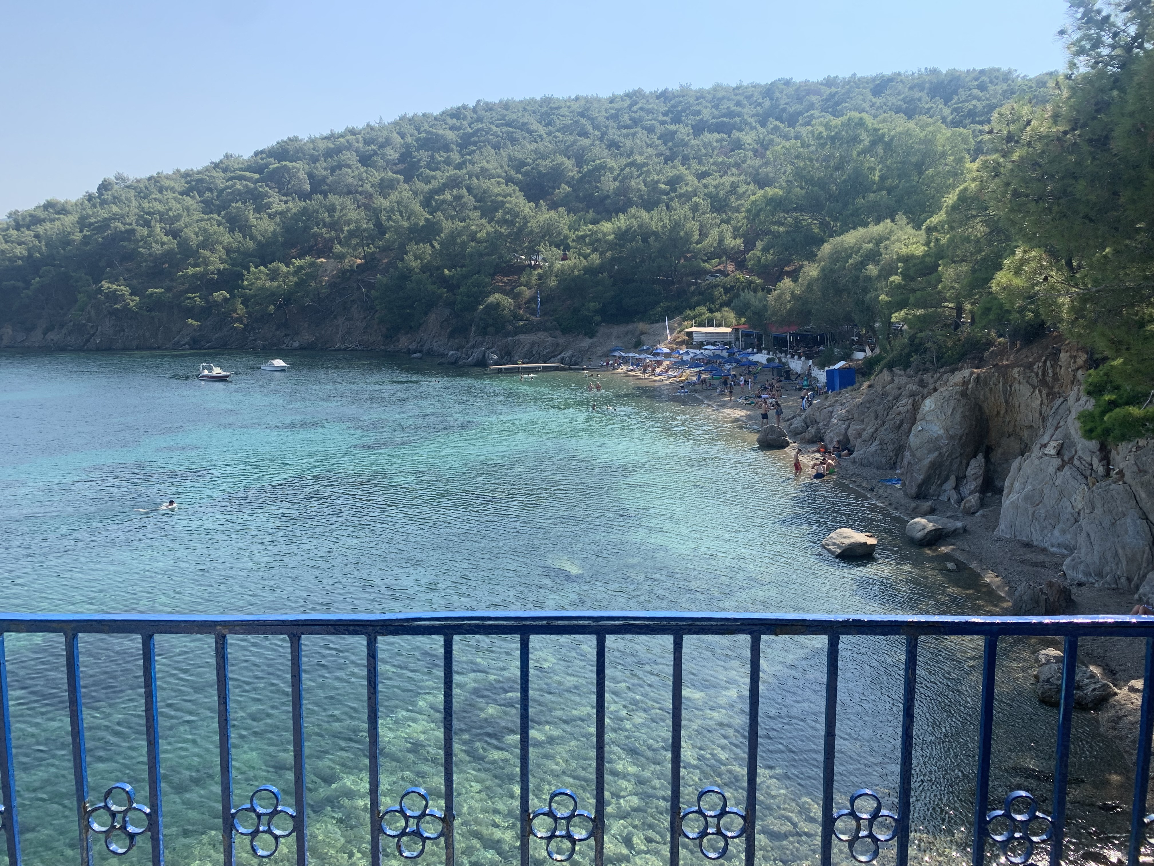 IMG_4863.jpeg