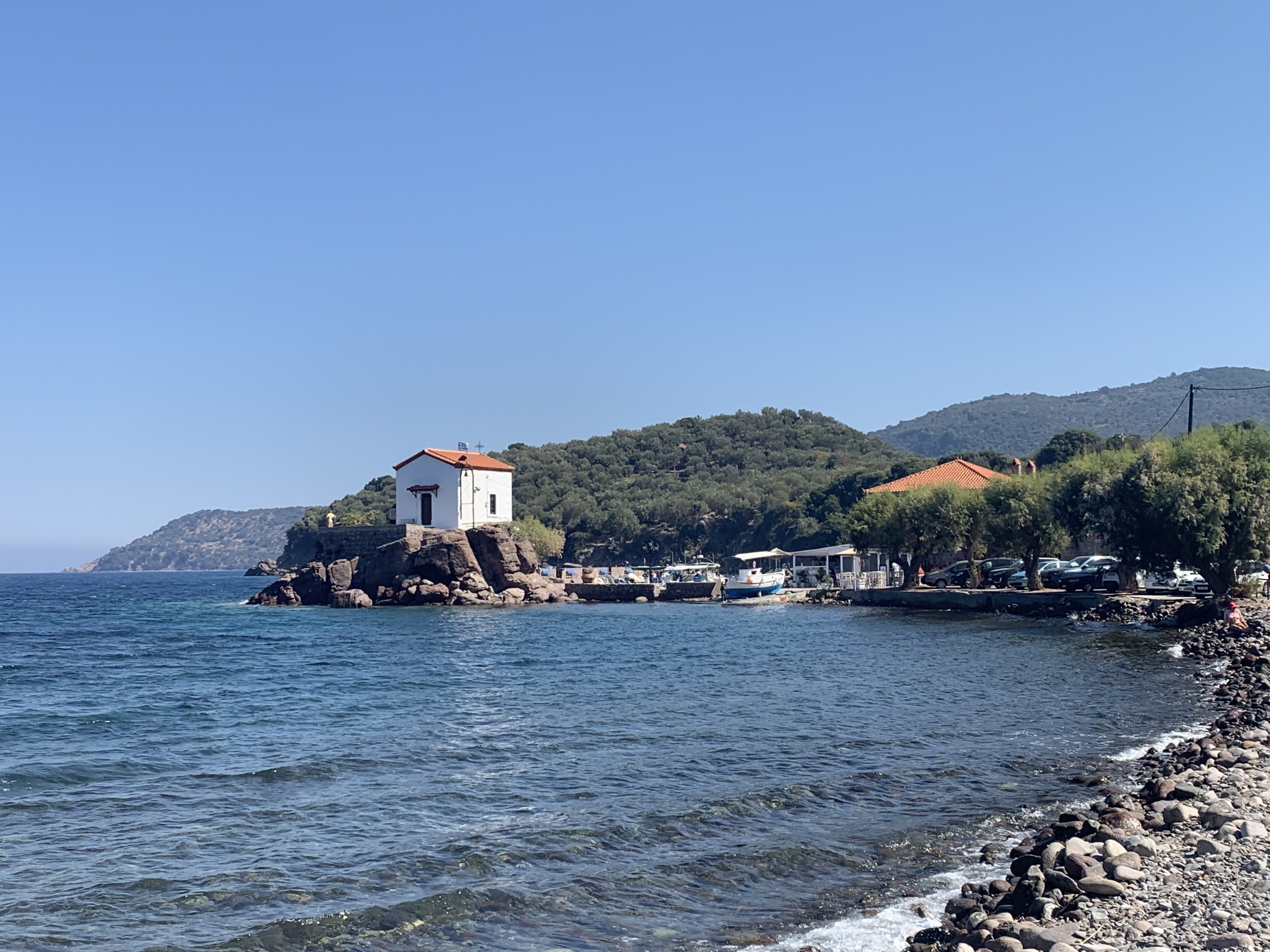IMG_5064.jpeg