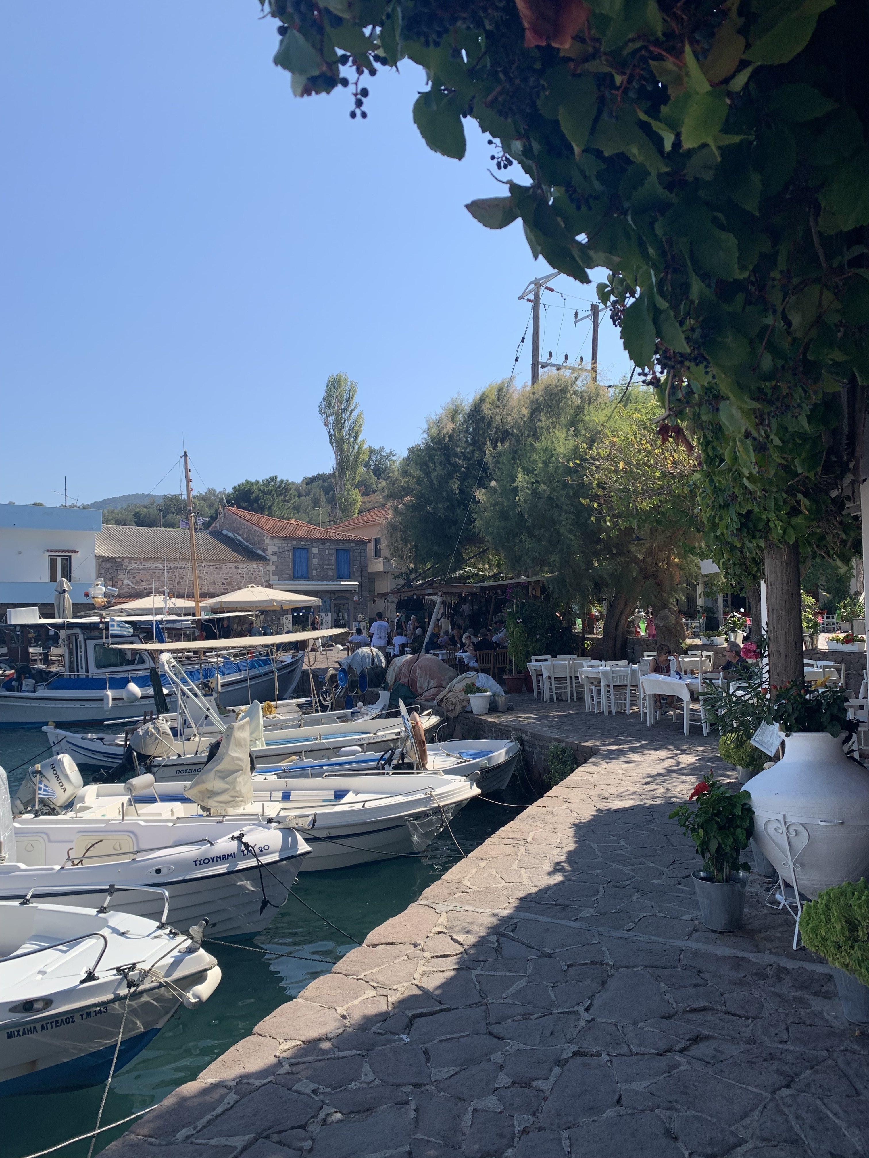 IMG_5066.jpeg