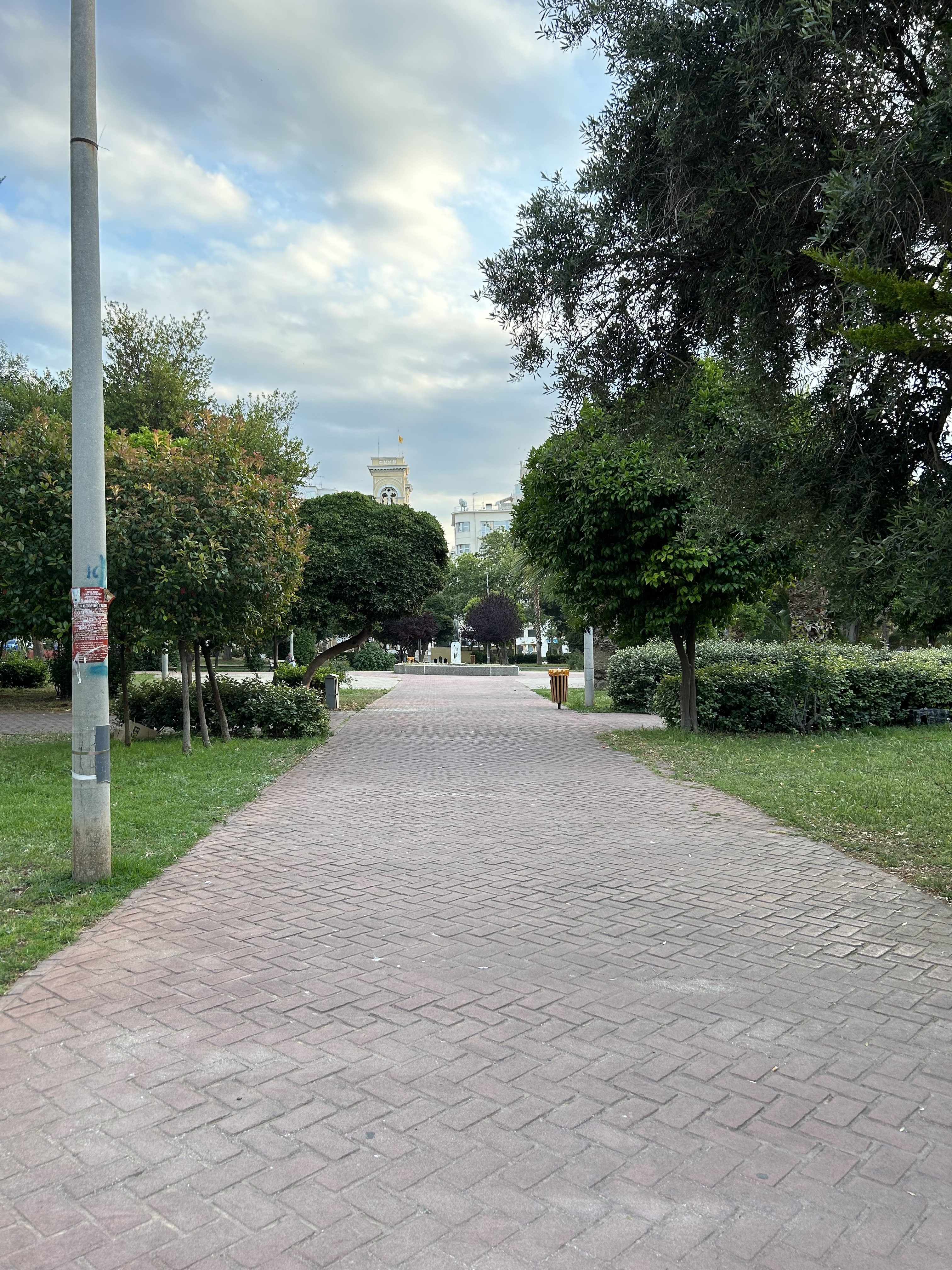 IMG_5206.jpeg
