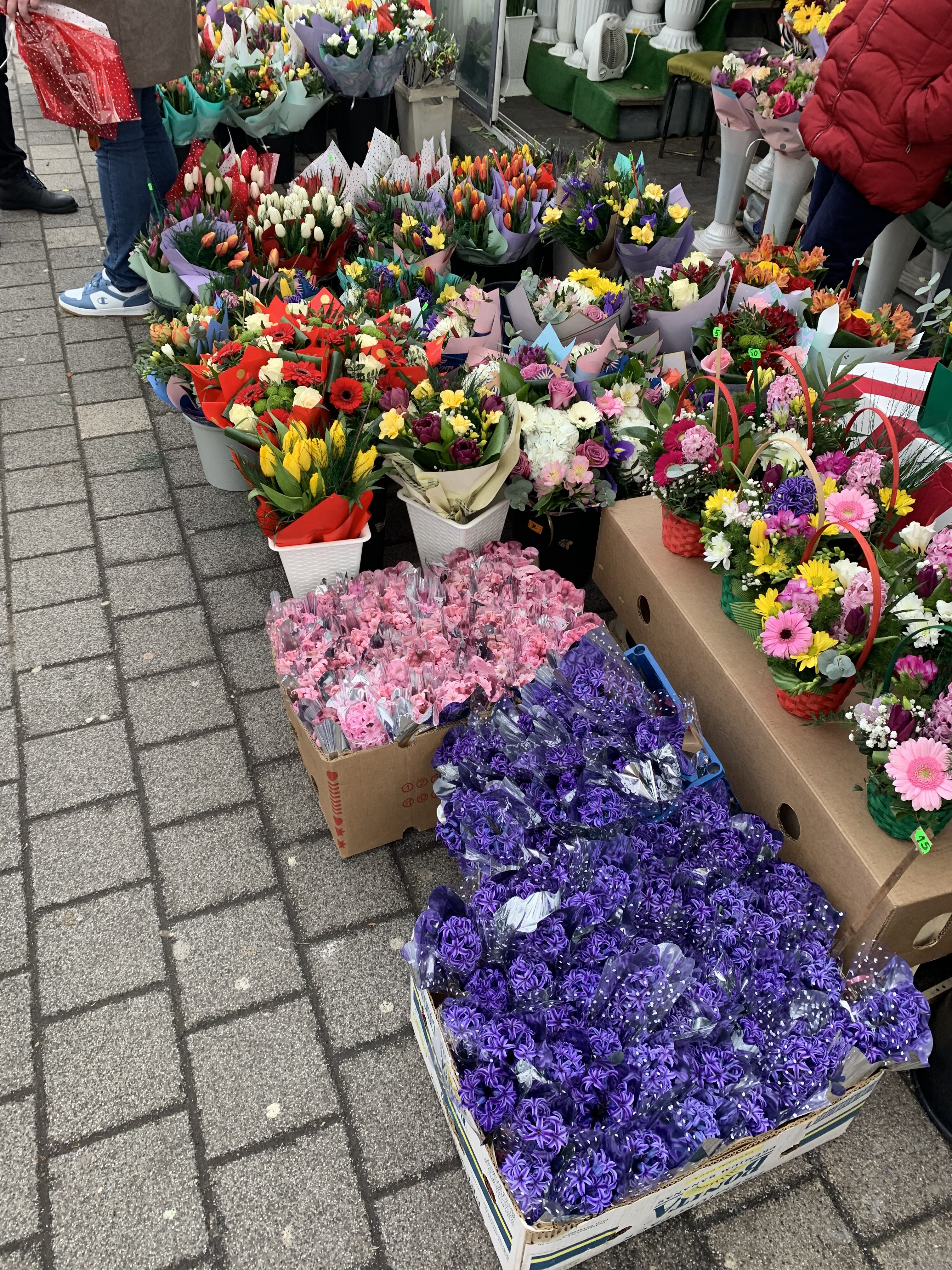 IMG_5695.jpeg