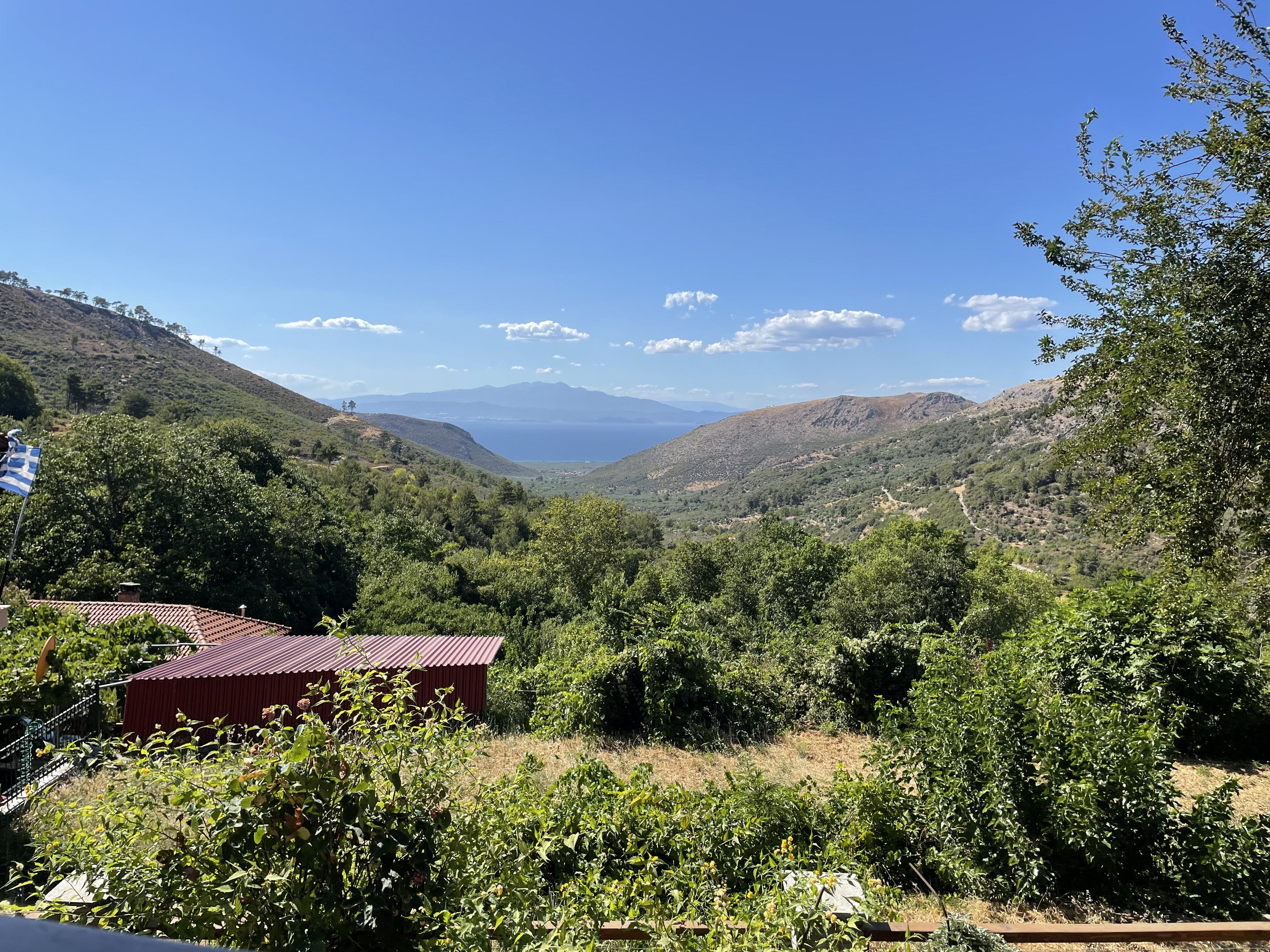IMG_5754.jpeg