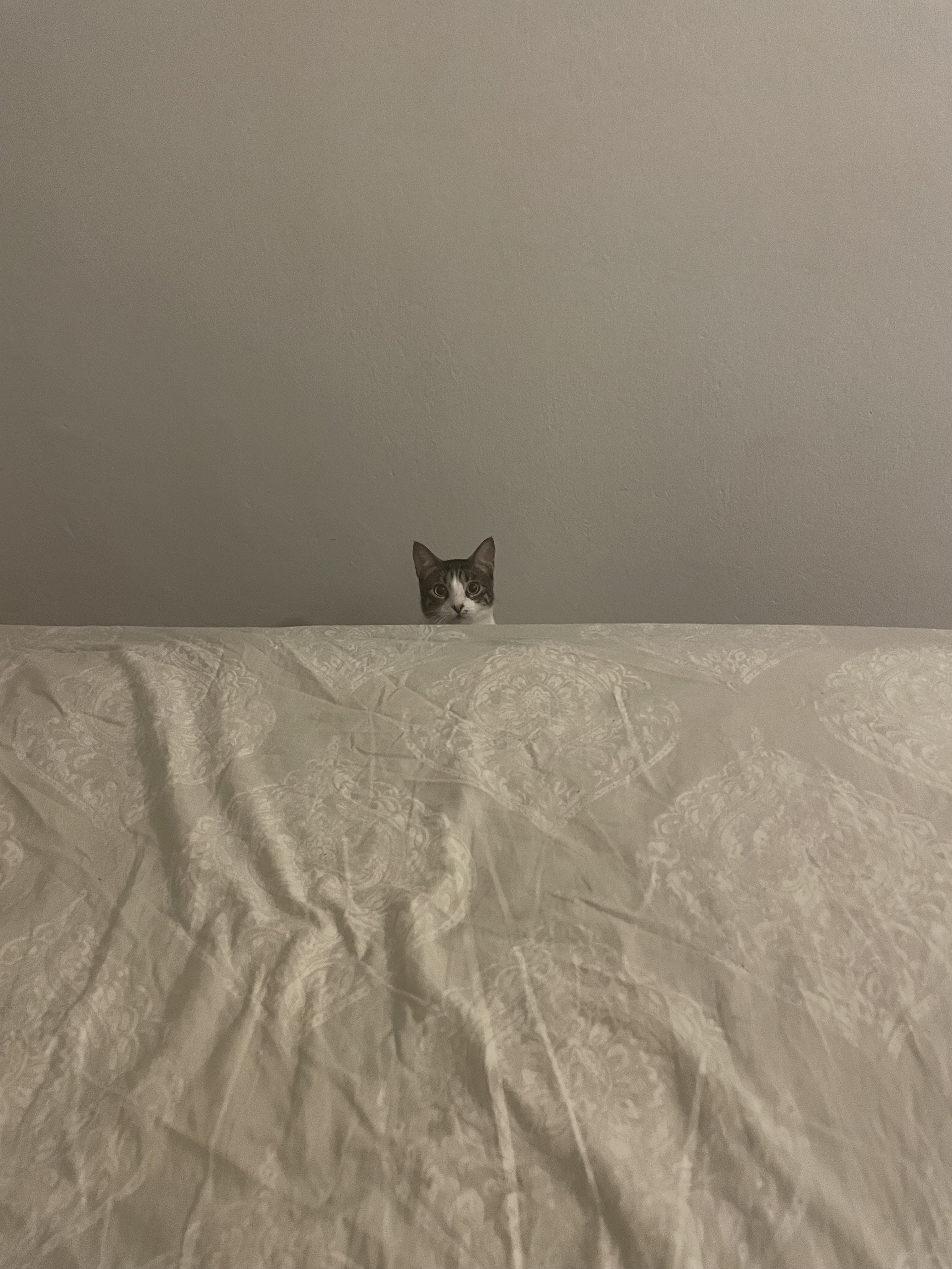 IMG_6039.jpeg