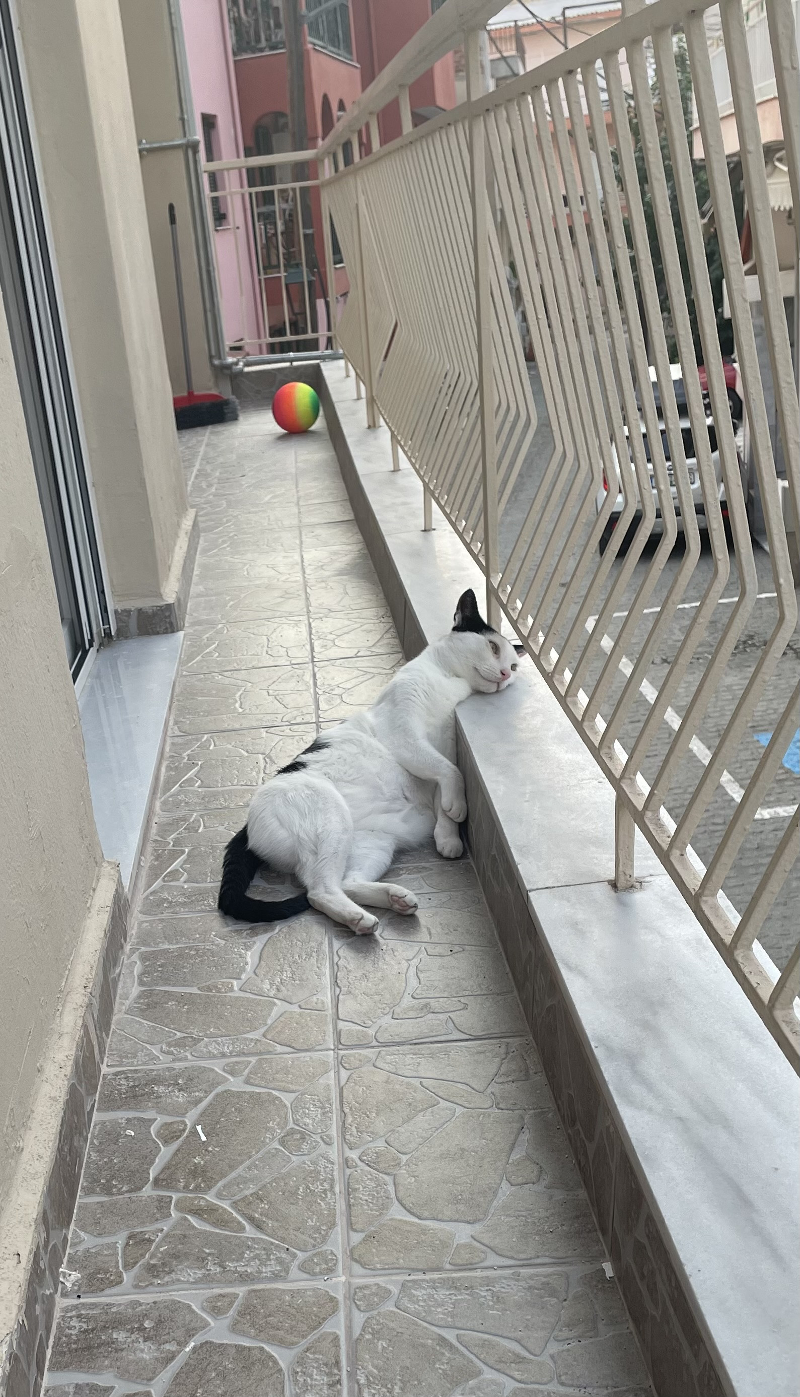 IMG_6119.jpeg