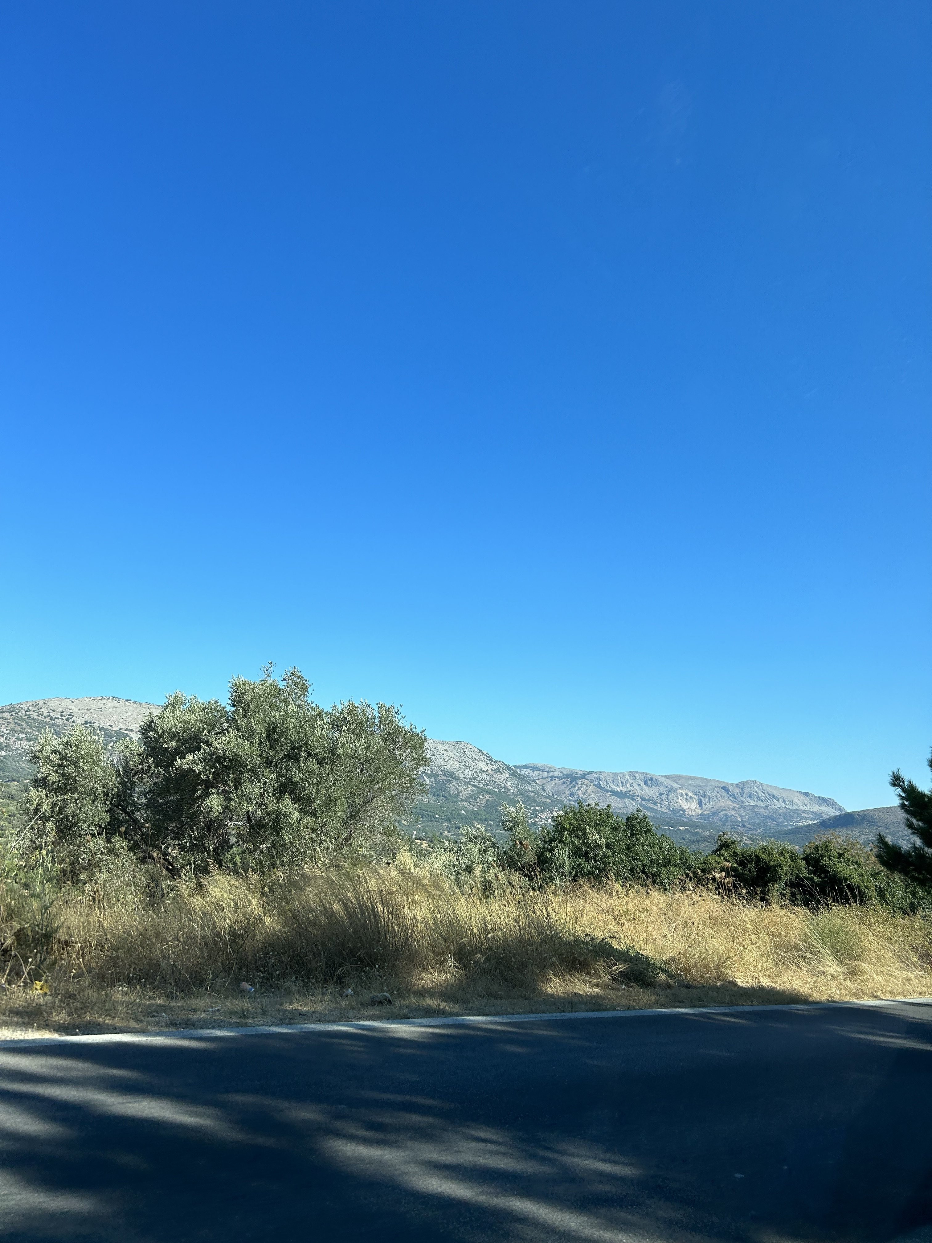 IMG_7175.jpeg