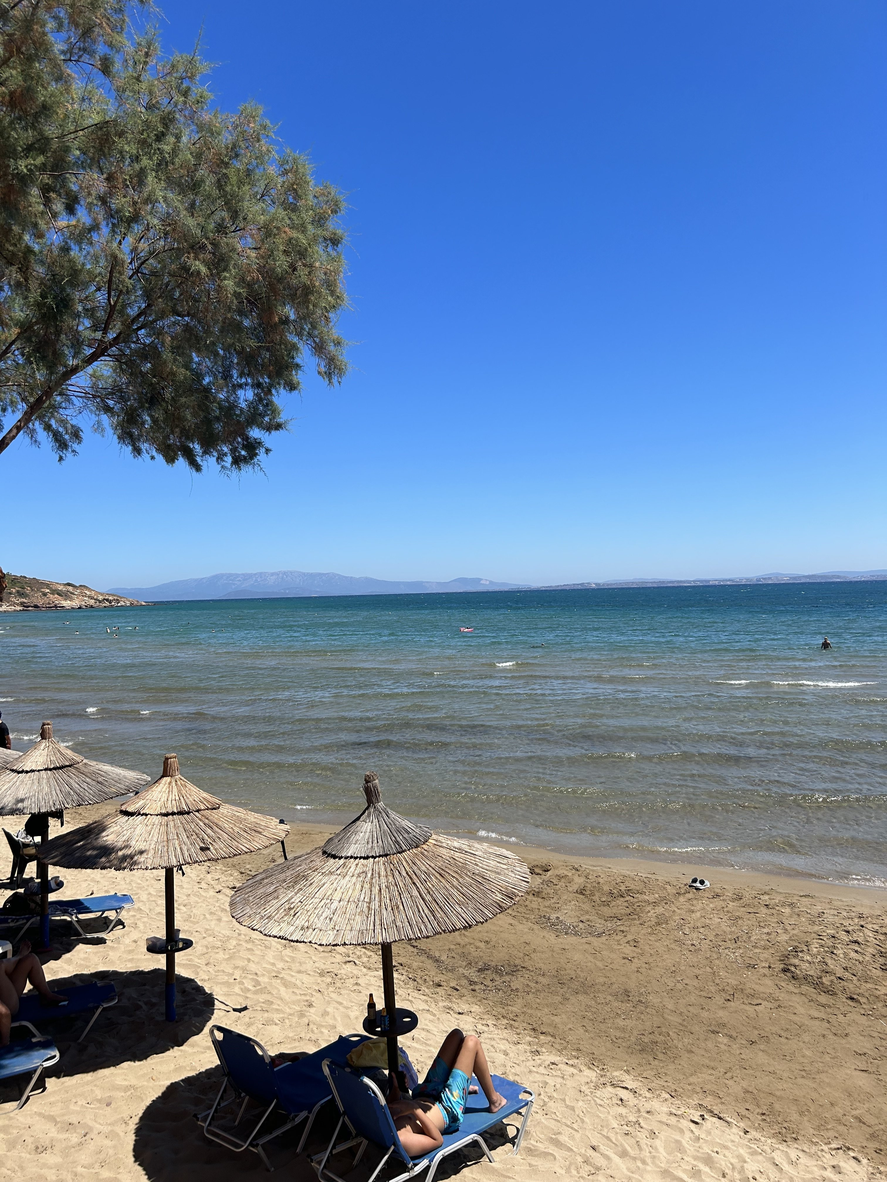 IMG_7599.jpeg