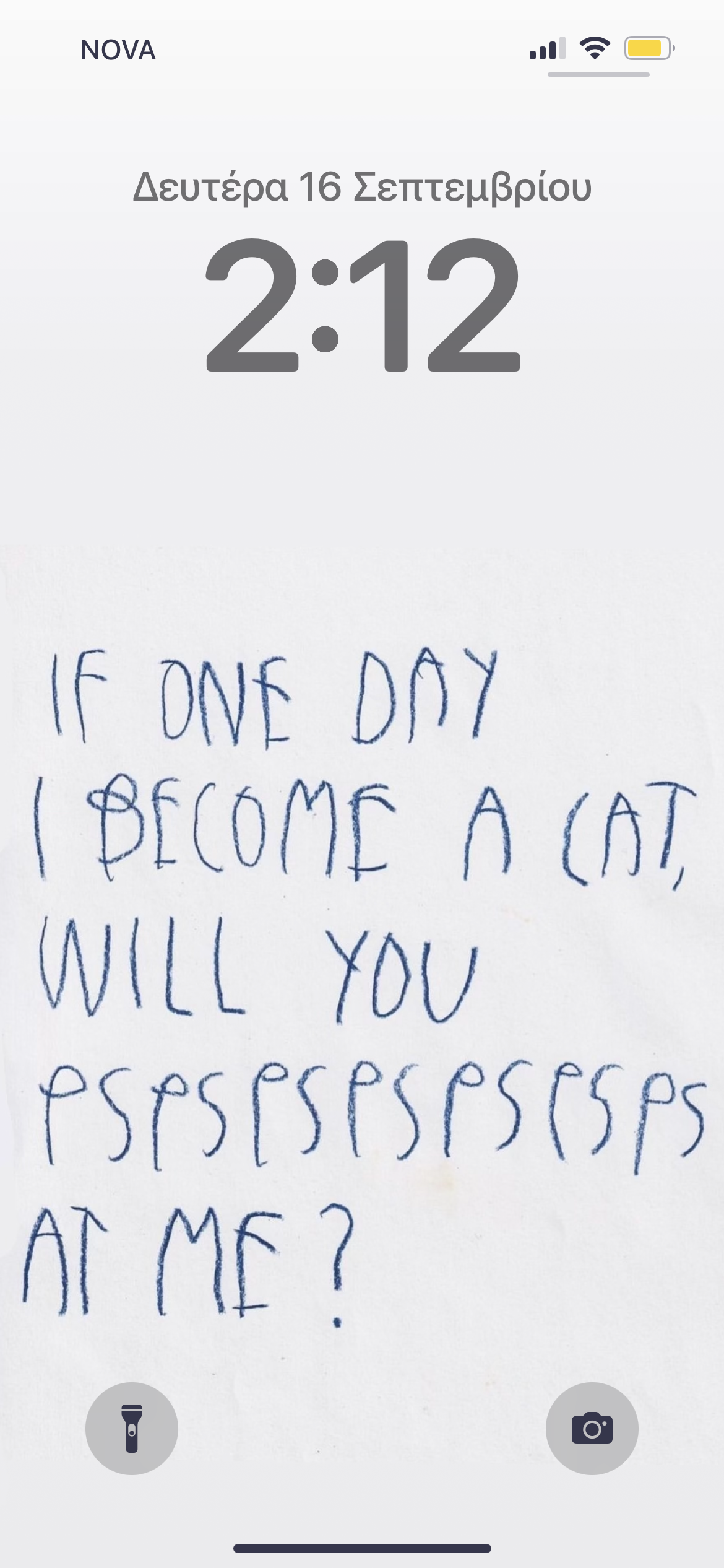 IMG_8412.png