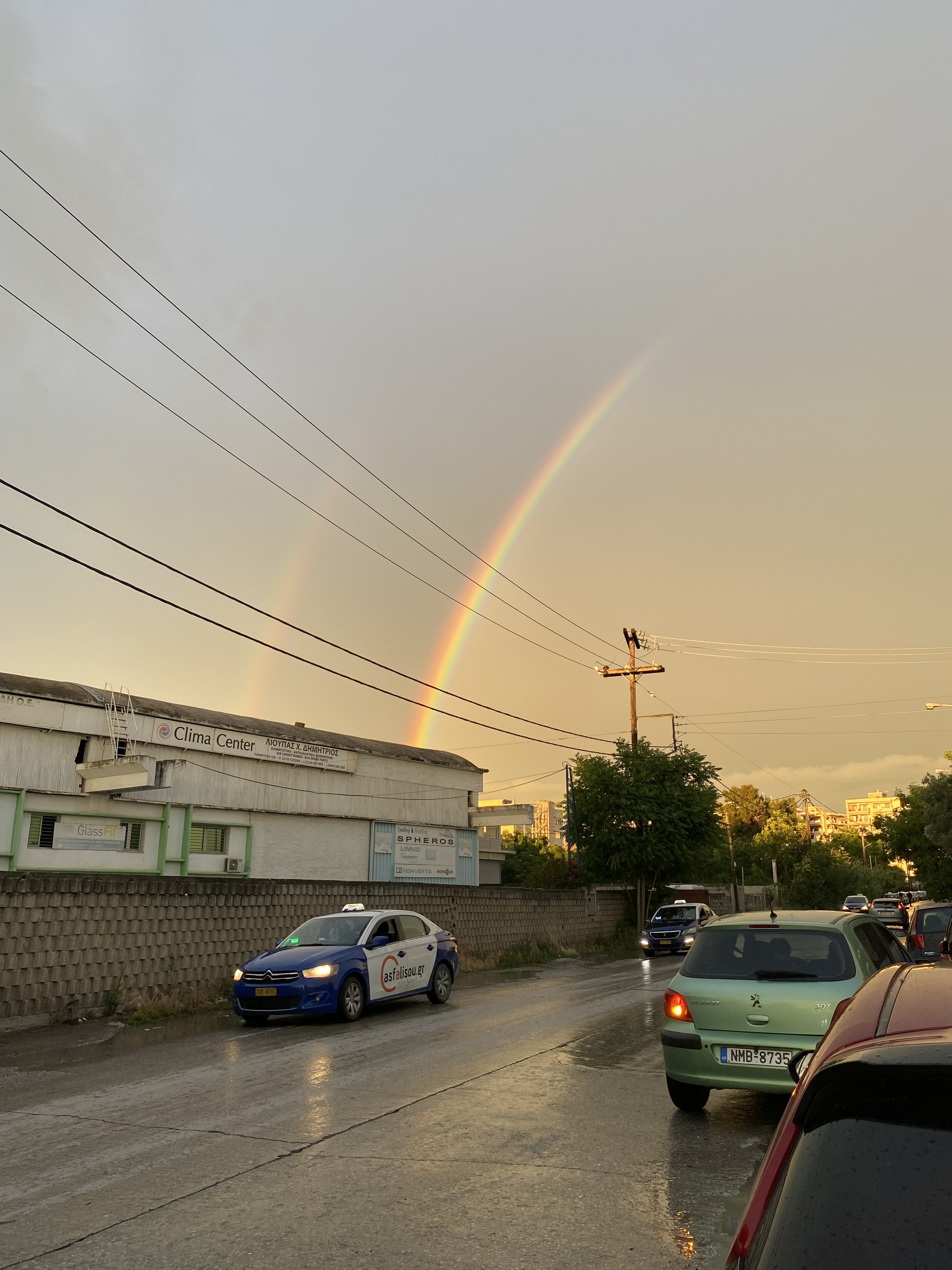 IMG_8595.jpeg