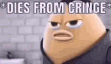 IMG_9025.gif