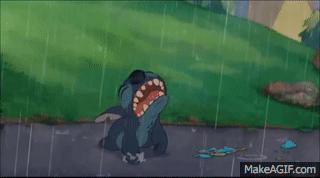 IMG_9175.gif