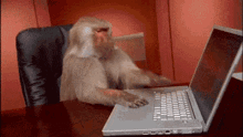 IMG_9180.gif