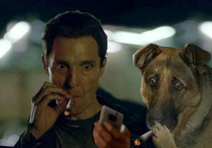 man-and-dog-smoking-and-looking-at-mobile-phone-meme-085dcbd5c7e71cc63bba4c29954c76ec.jpg