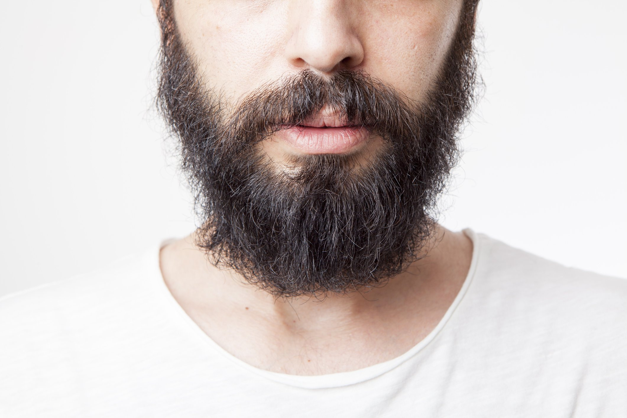 medium_beard.jpg