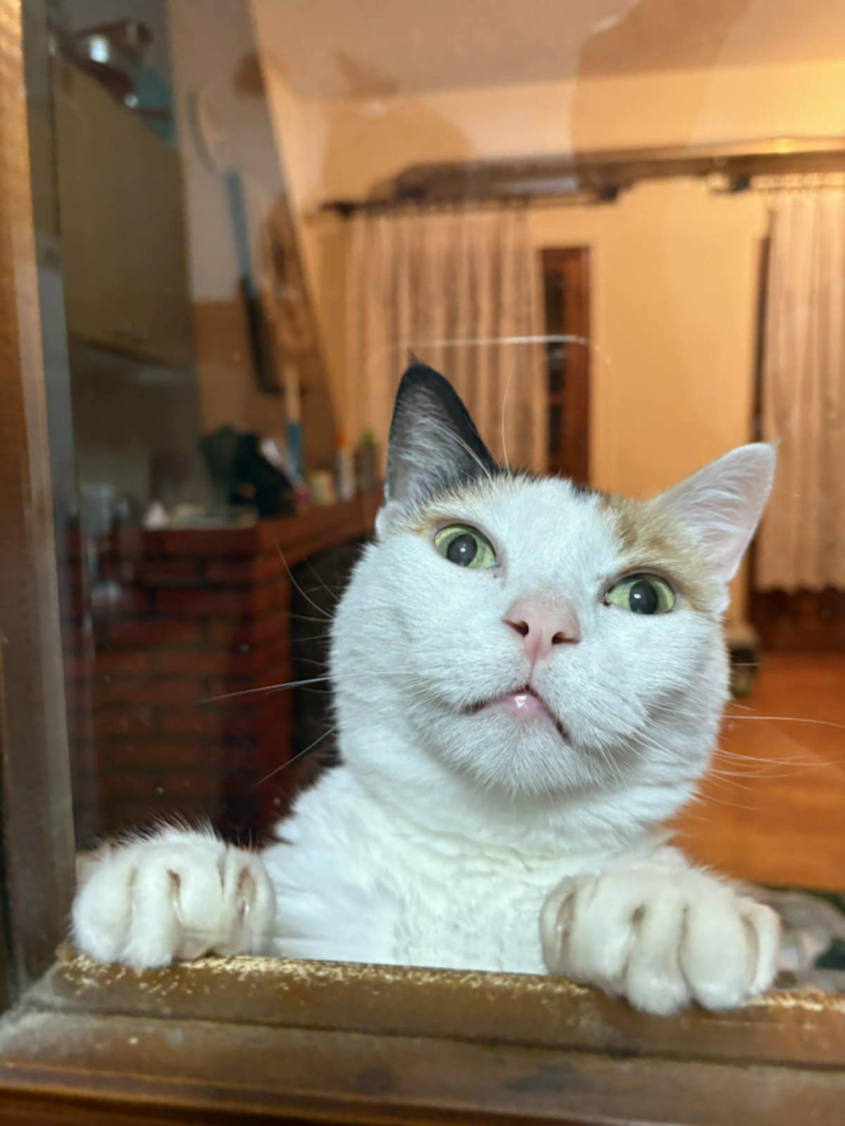 Messenger_creation_3698E327-9470-409F-9F59-AA06FC81D934.jpeg