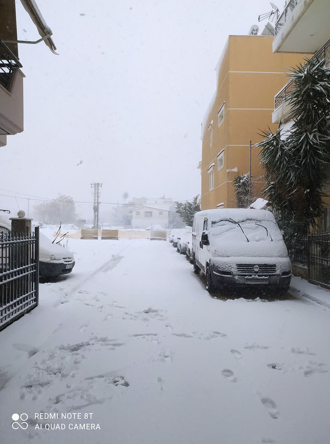 NOW SNOW 2.jpg